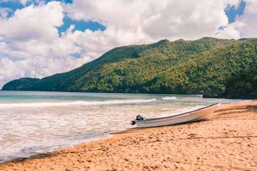 A serene beach with a small boat on calm waters.