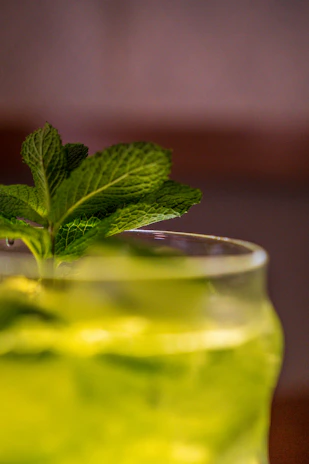 A close-up of a frosty glass filled with a freshly blended ice cream juice topped with a sprig of mint.