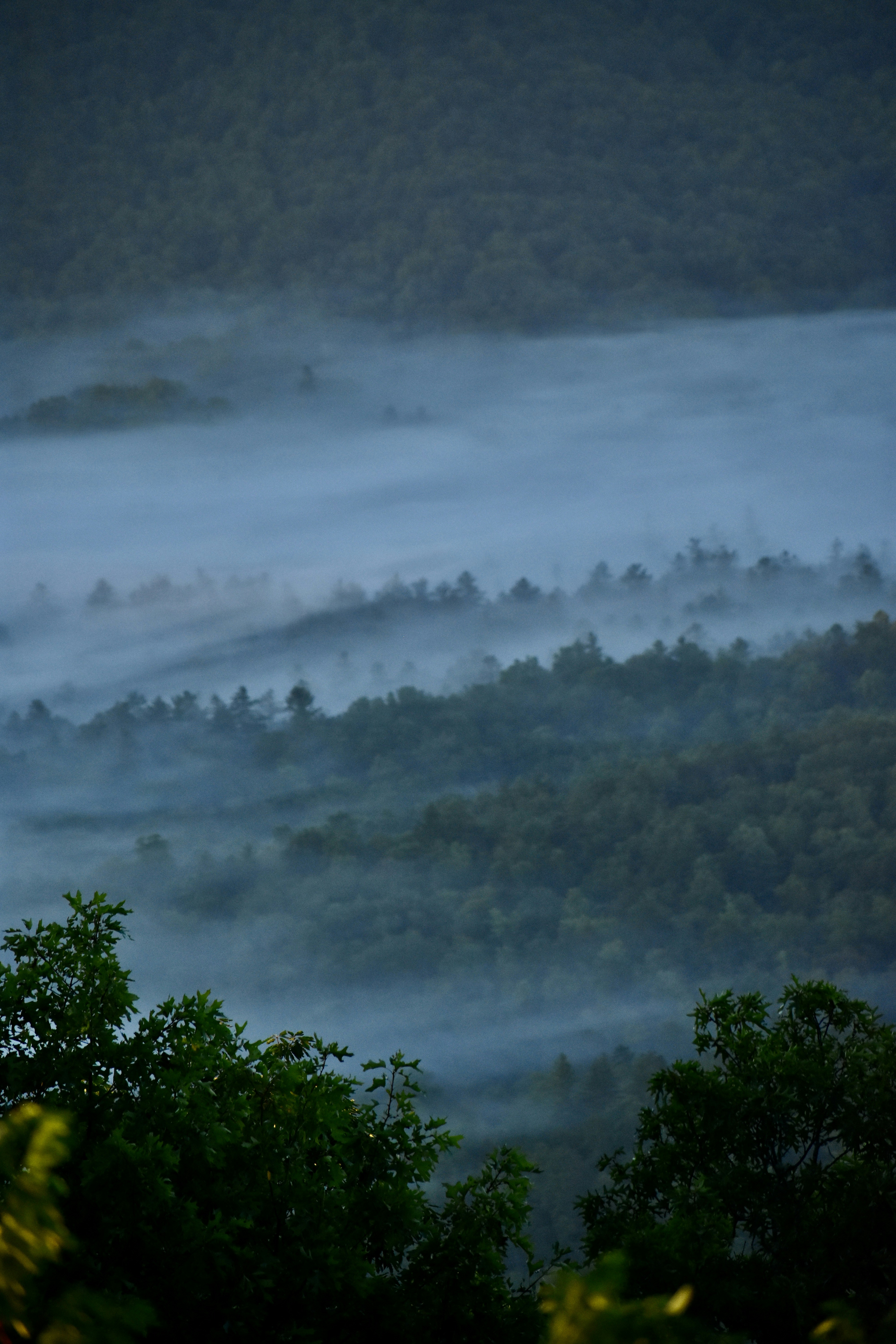 Photo by audrivangores