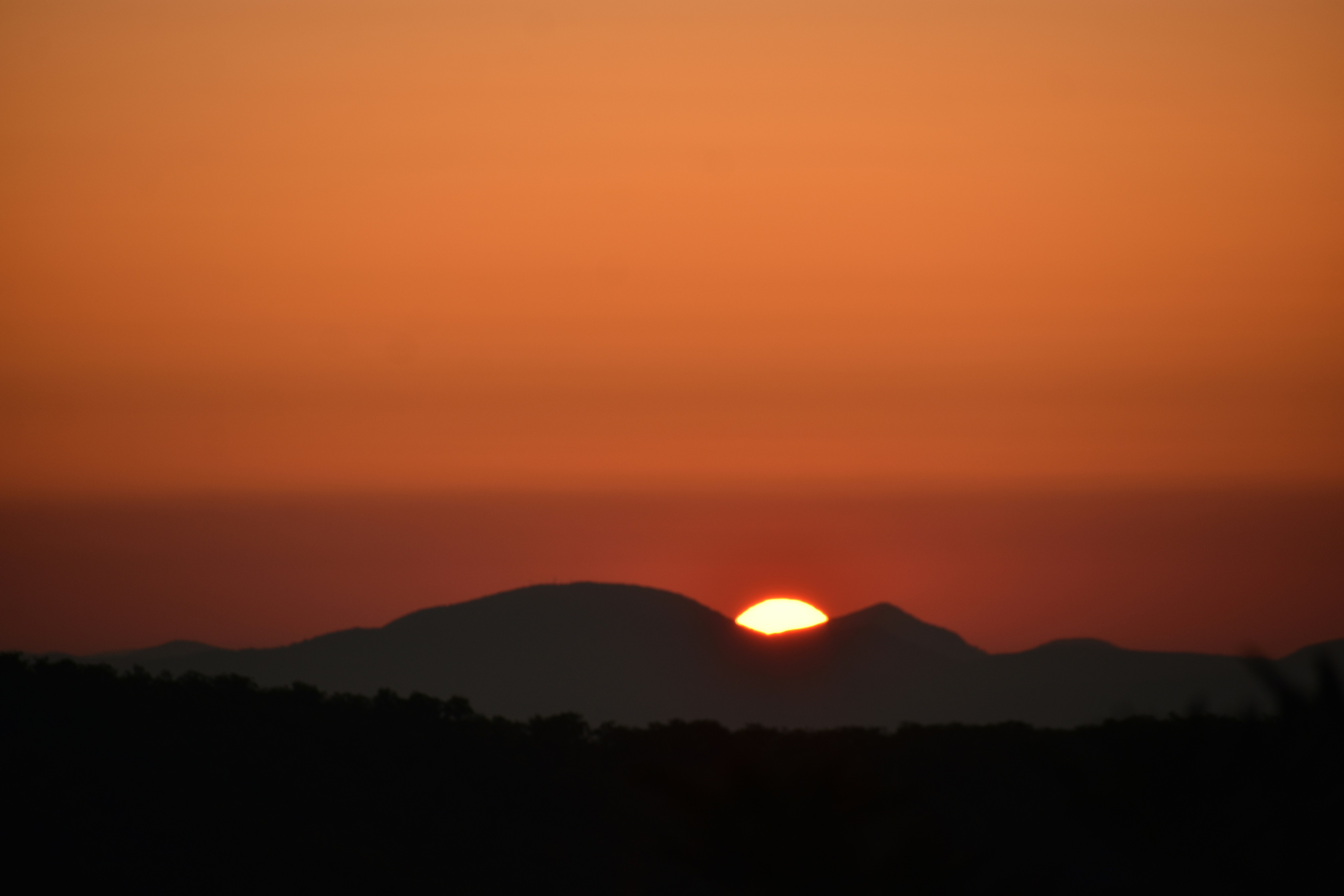 Photo by audrivangores