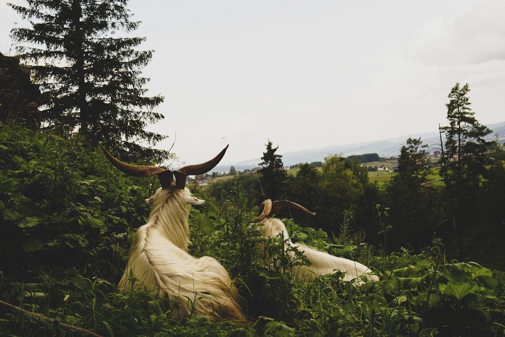 Cattle and Goat Products