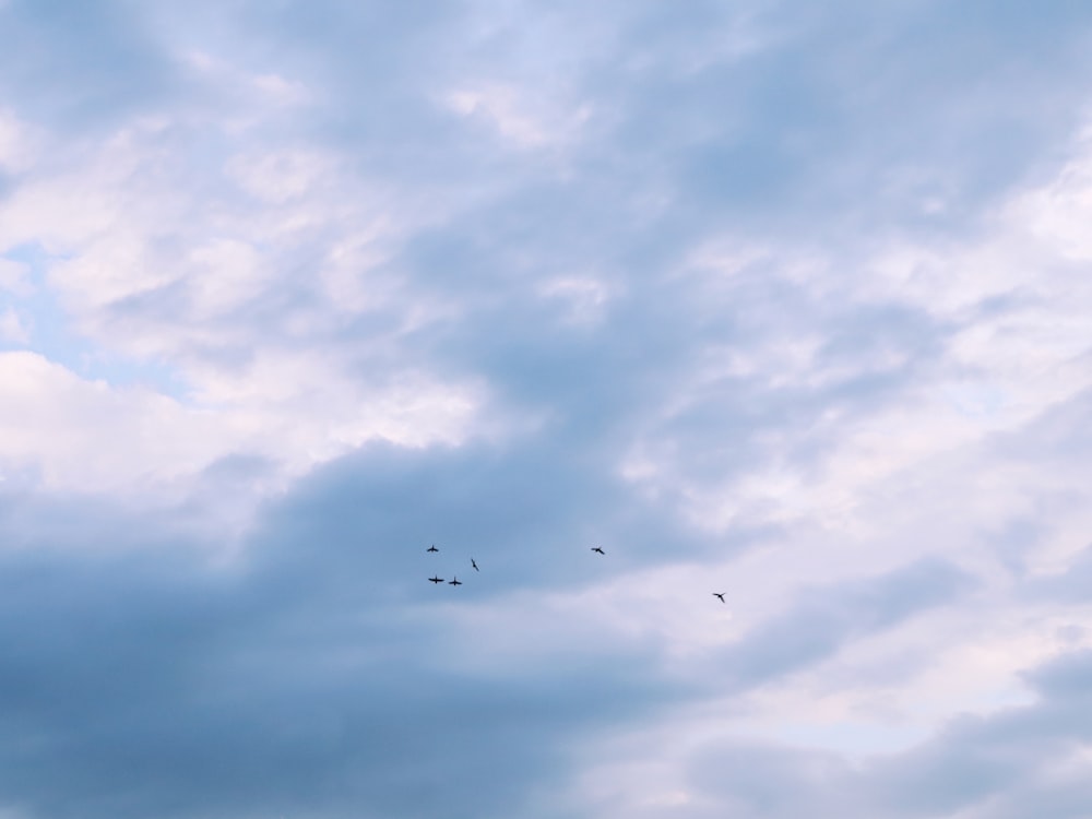 a group of birds flying through a cloudy sky