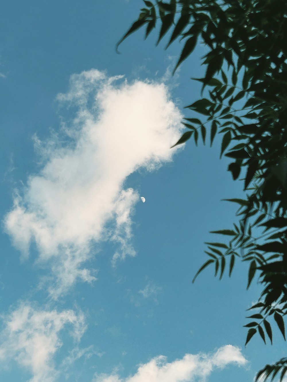 a plane flying through a blue cloudy sky