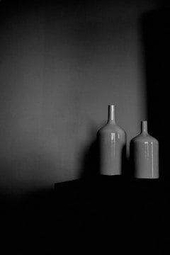 a black and white photo of two vases
