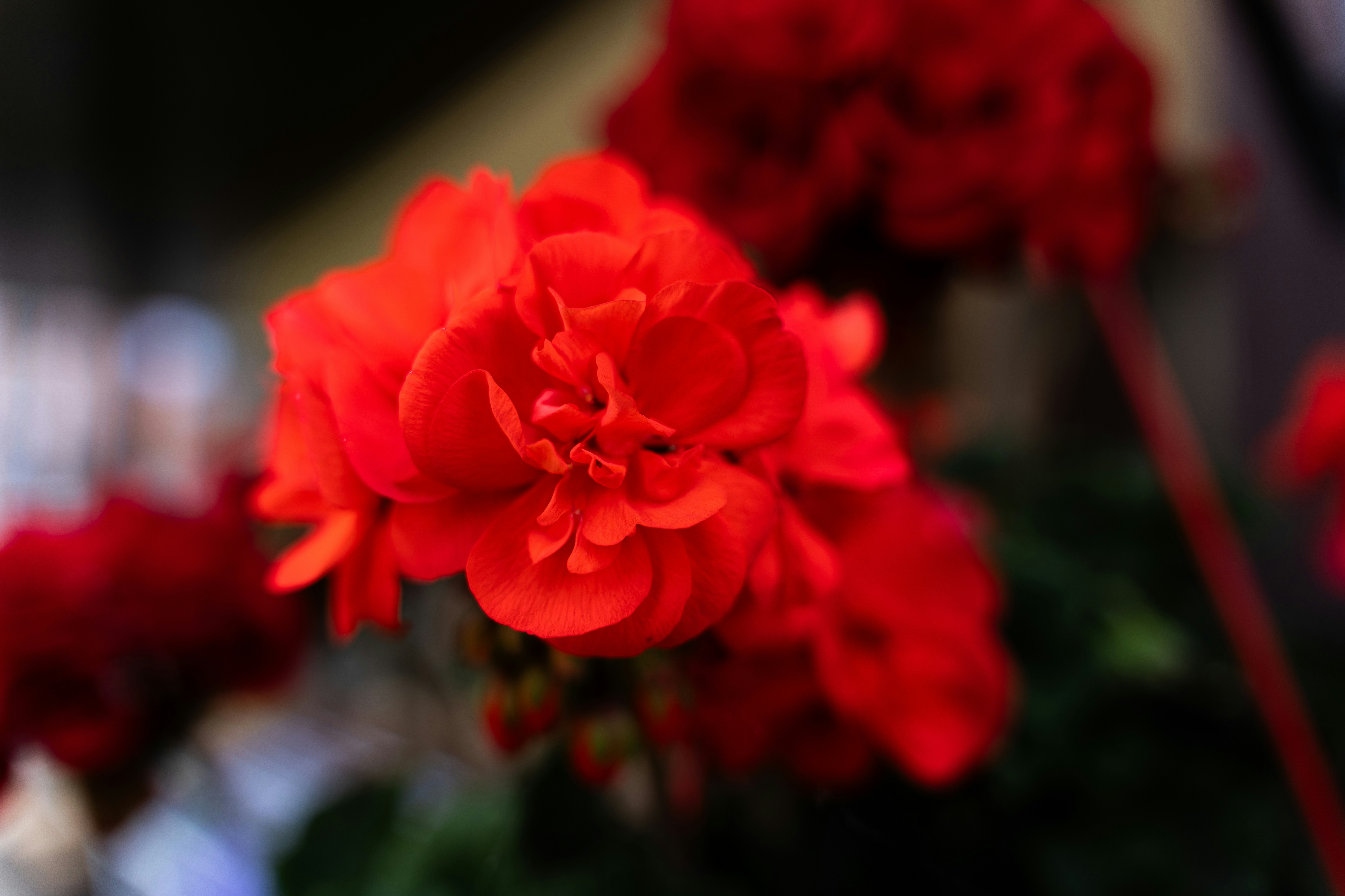 individuality-hobbies