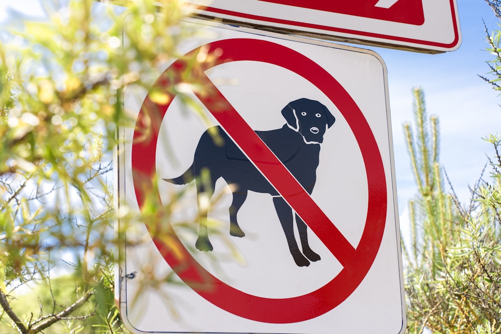 Un cartello di divieto di cani con un cane nero in un cerchio rosso