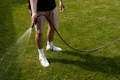 Spring tips