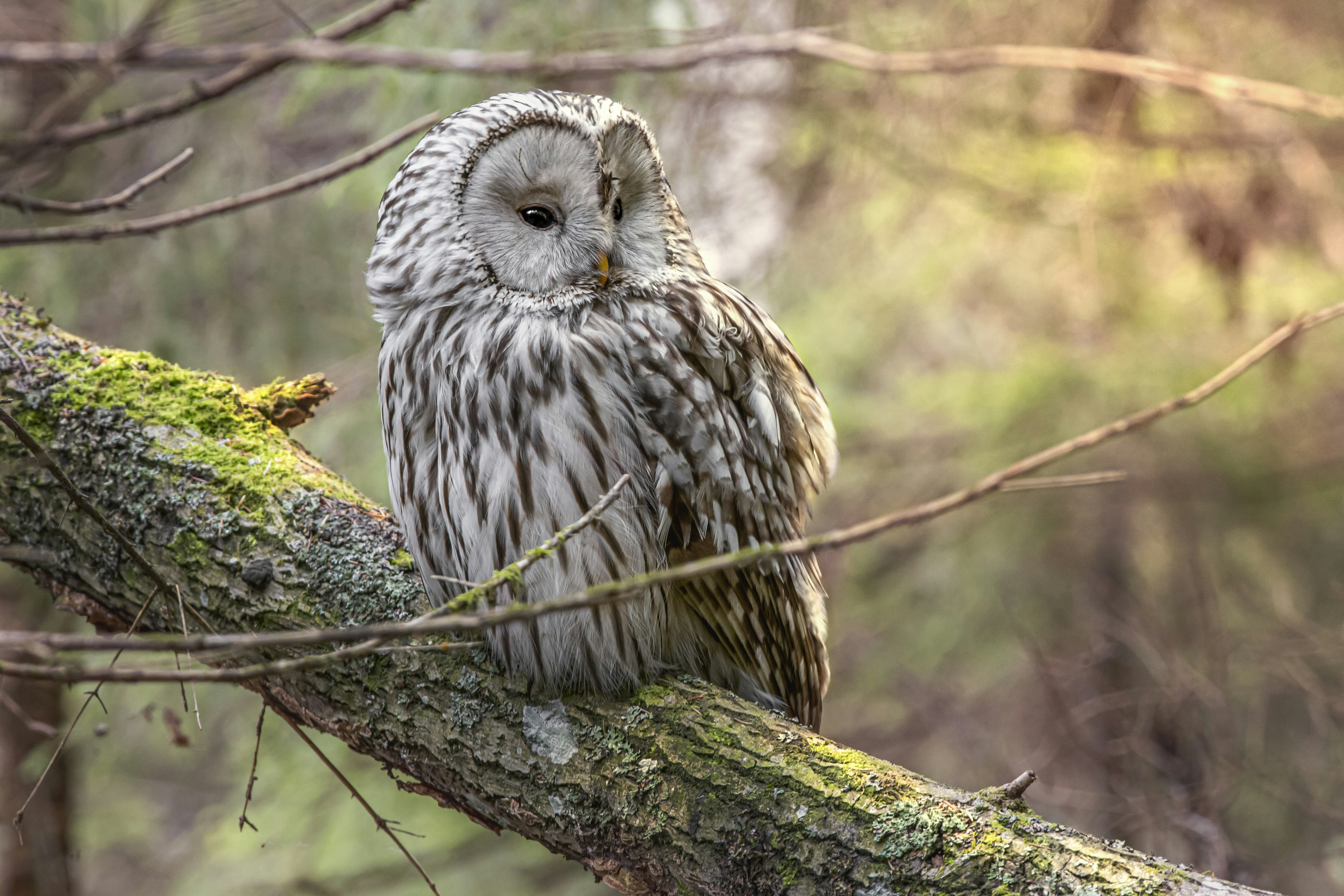 Photo by erik_karits