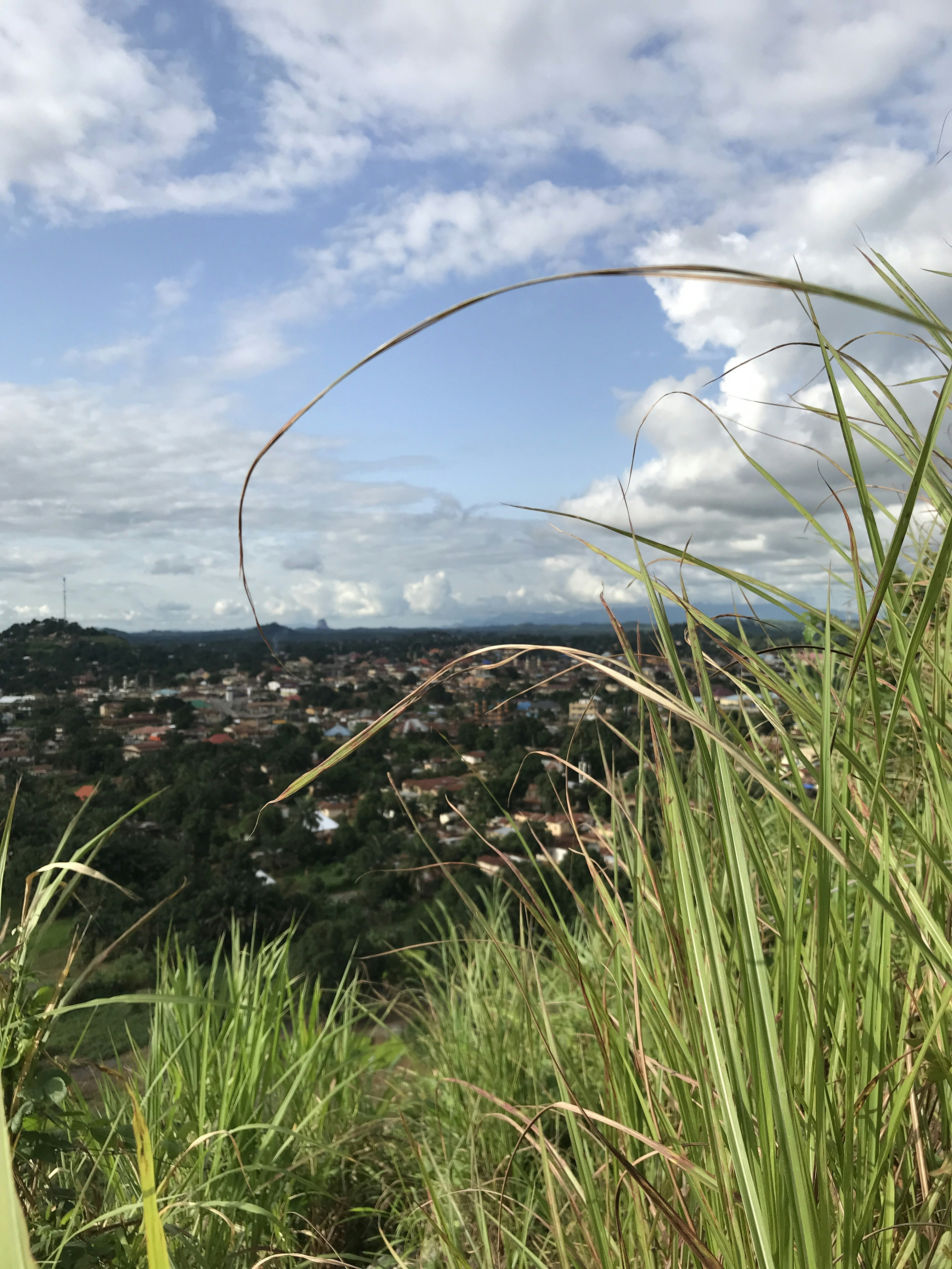 a view of a city from the top of a hill