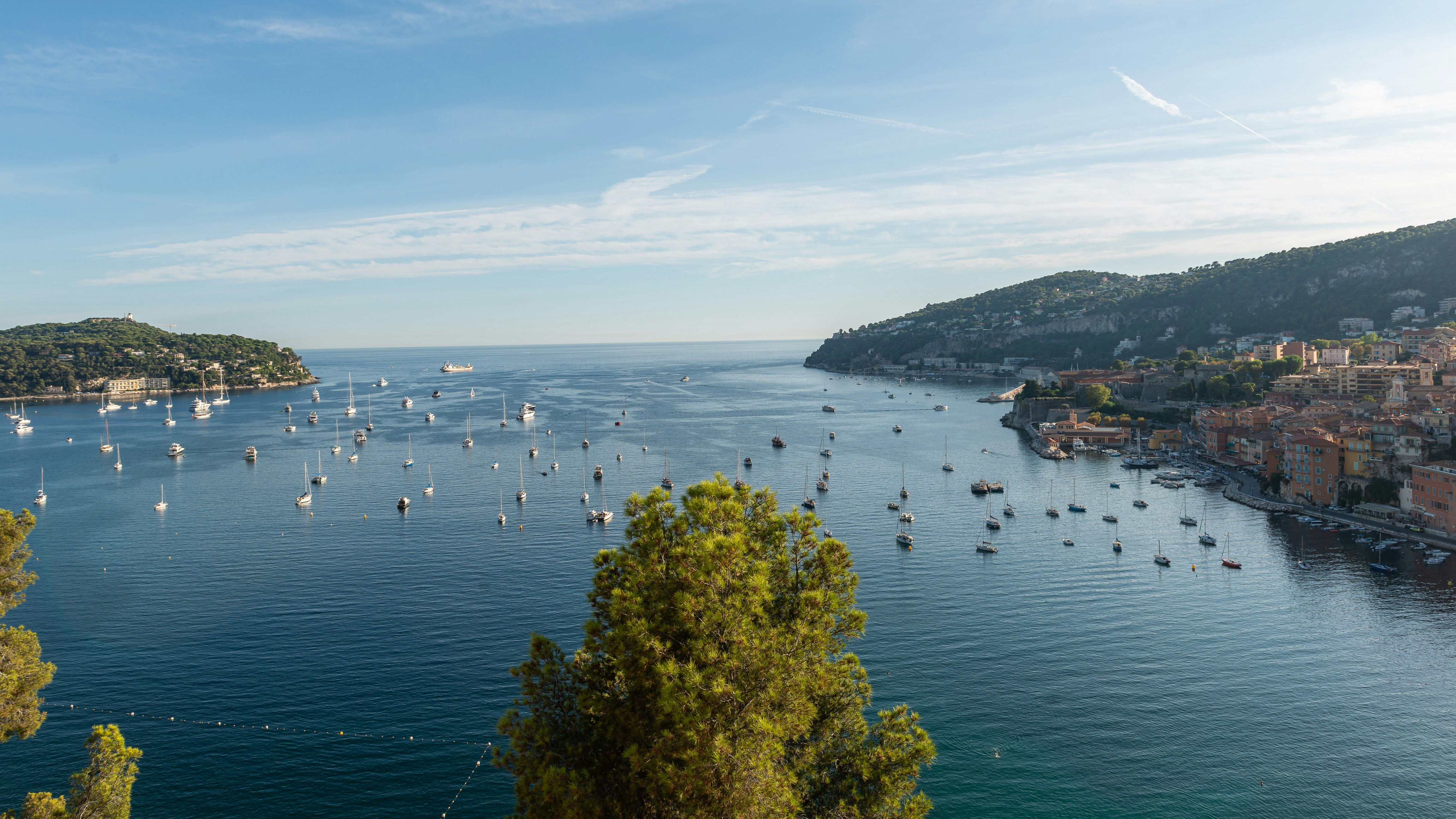 Photo by nikonprophoto