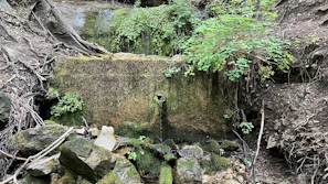 Close-up of crystal-clear mineral water flowing from a natural spring surrounded by lush greenery