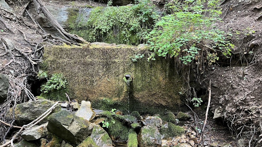 a mossy rock wall next to a small creek
