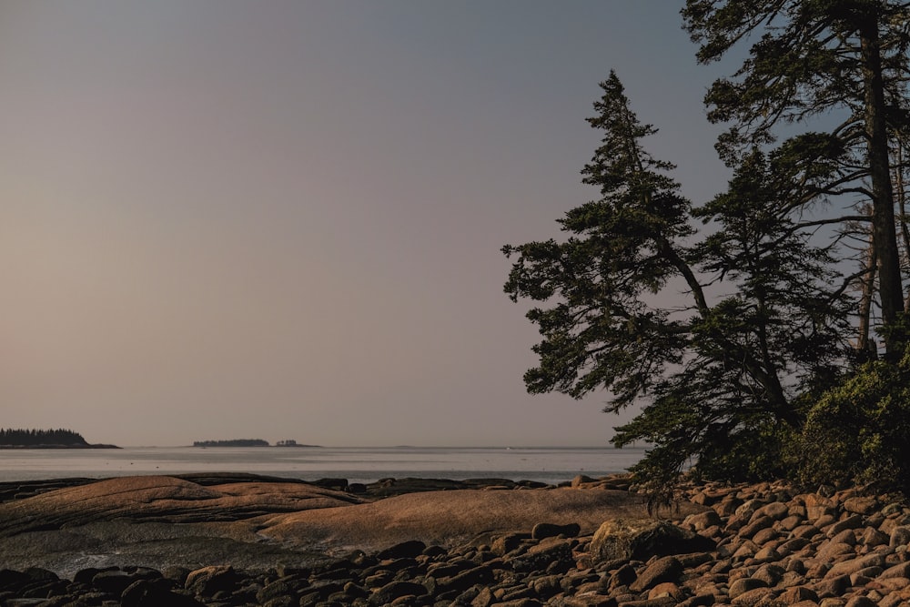 a view of a body of water from a rocky shore