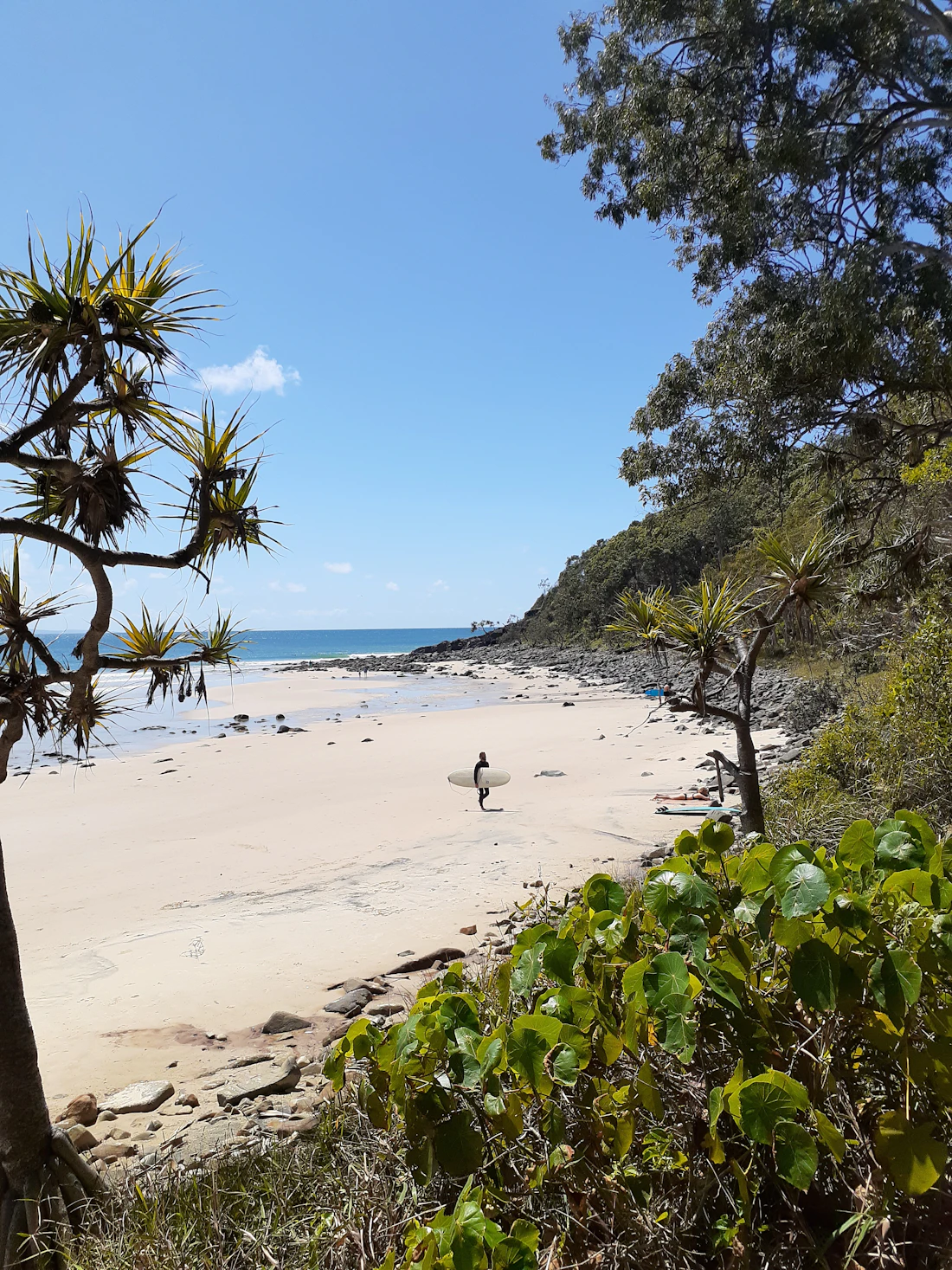 Plage de la Sunshine Coast