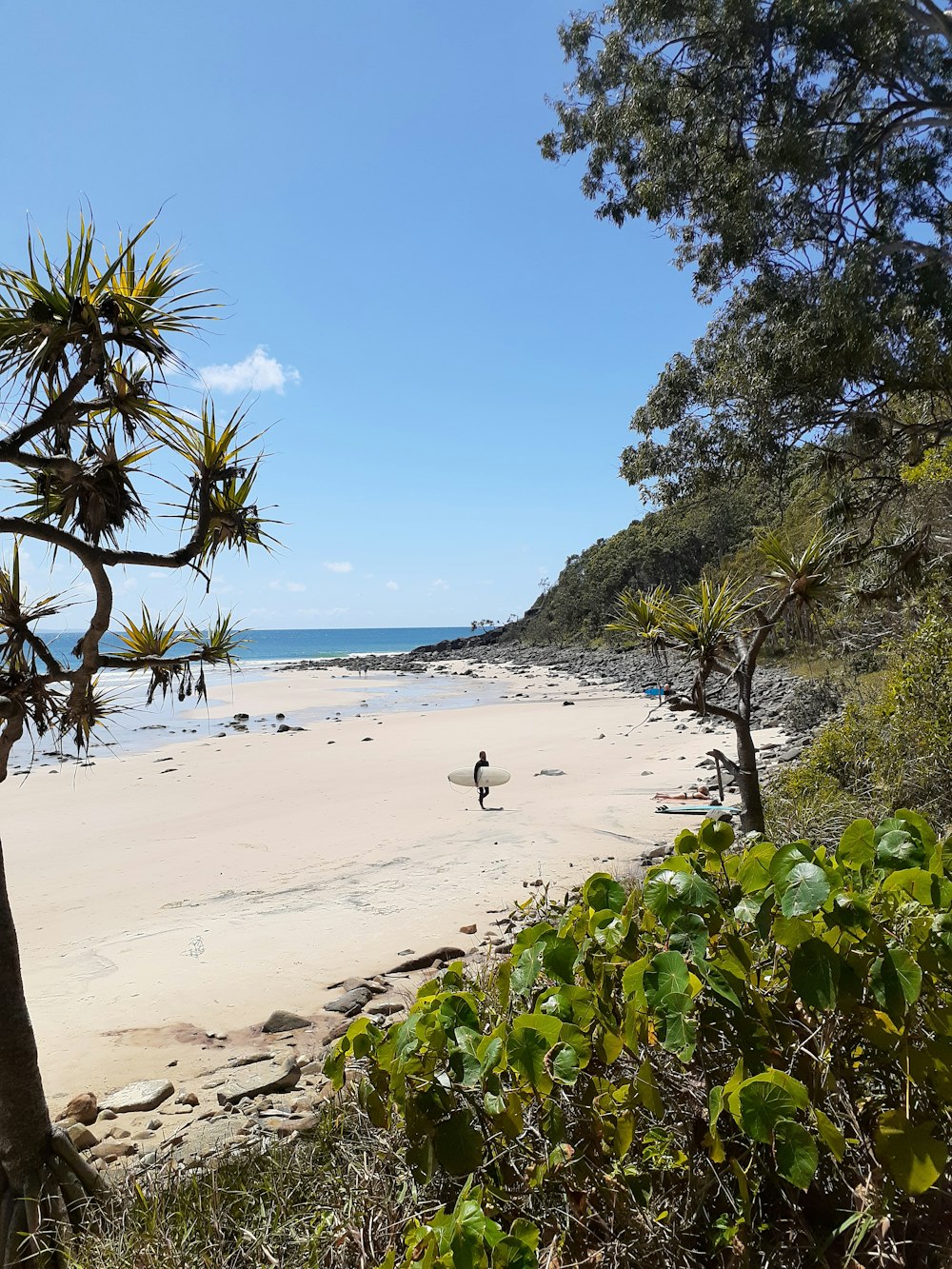 a person walking on a beach near the ocean