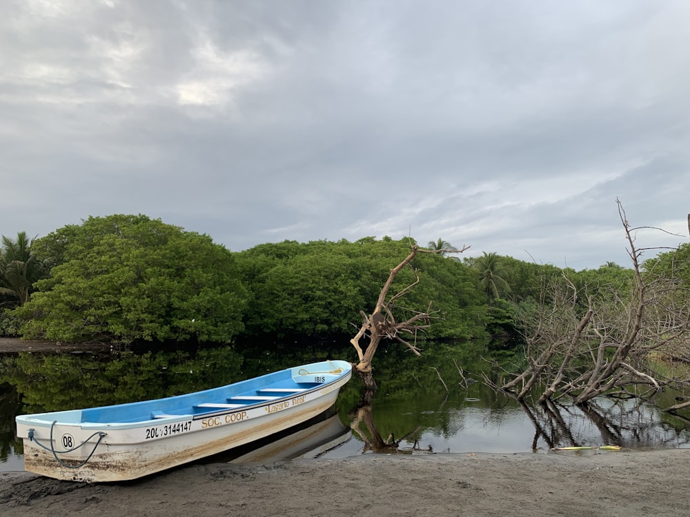 a blue and white boat sitting on the shore of a lake