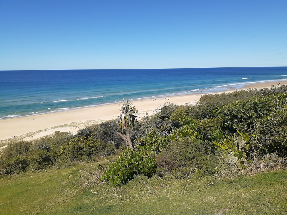a view of a beach and ocean from a hill