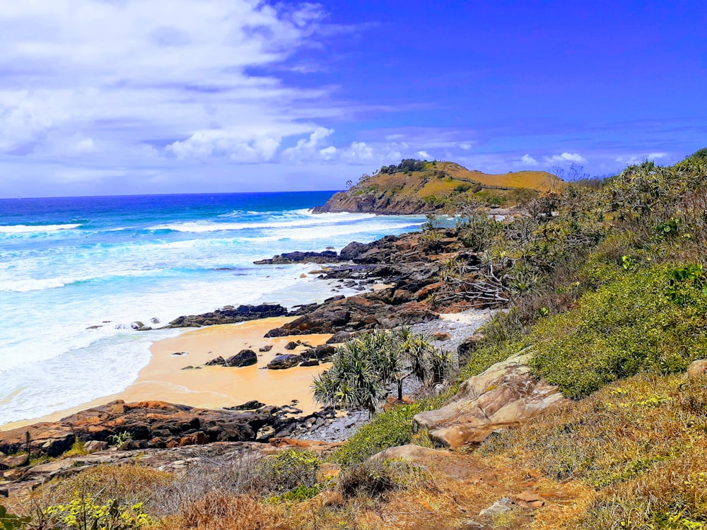 a scenic view of a beach and ocean