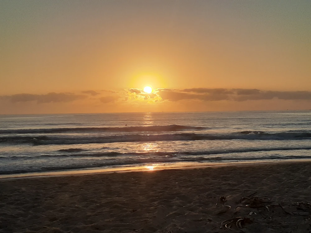 Fotografía real de Sunshine Coast