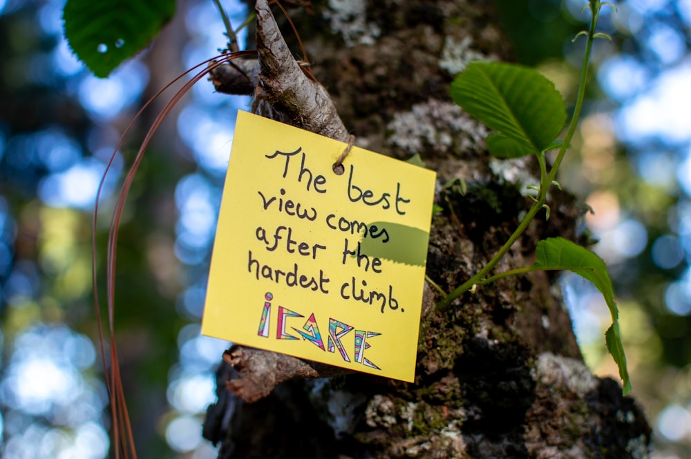 a note attached to a tree with leaves