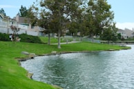 Residents enjoying a peaceful walk along tree-lined paths within the Lumina Residences community.