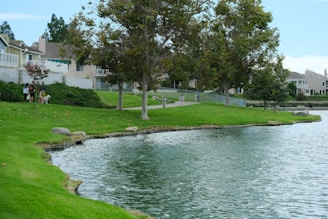 A peaceful residential area with neatly manicured lawns bordering a calm body of water. Trees with dense foliage line the shore, providing shade and an idyllic setting. Several houses with varied architecture are seen in the background. People are casually walking along the path with a dog, adding a lively element to the serene atmosphere.