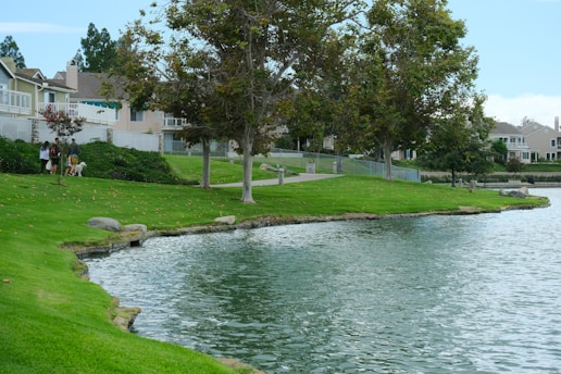A peaceful residential area with neatly manicured lawns bordering a calm body of water. Trees with dense foliage line the shore, providing shade and an idyllic setting. Several houses with varied architecture are seen in the background. People are casually walking along the path with a dog, adding a lively element to the serene atmosphere.