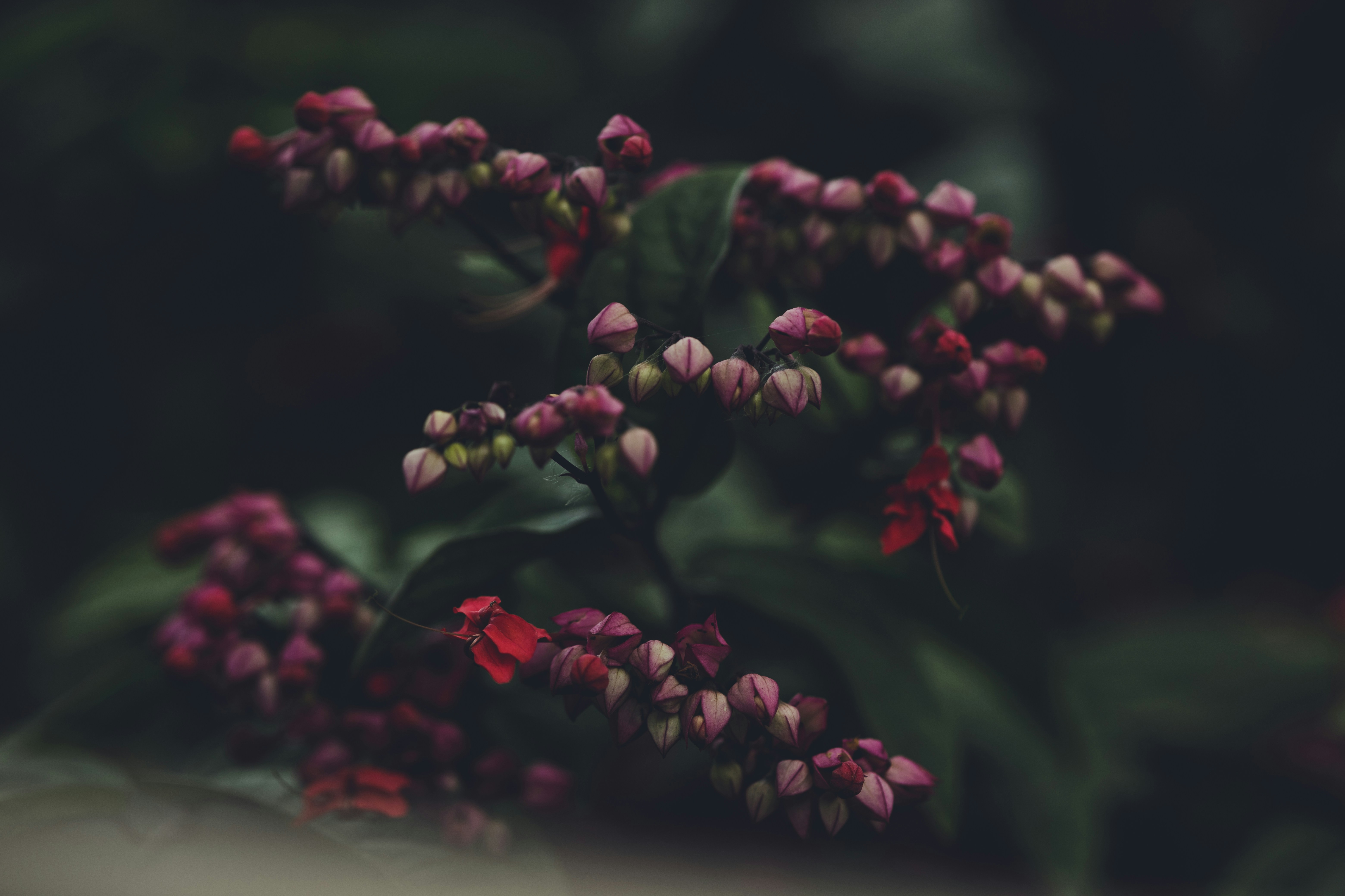 Photo by rrodriguesim