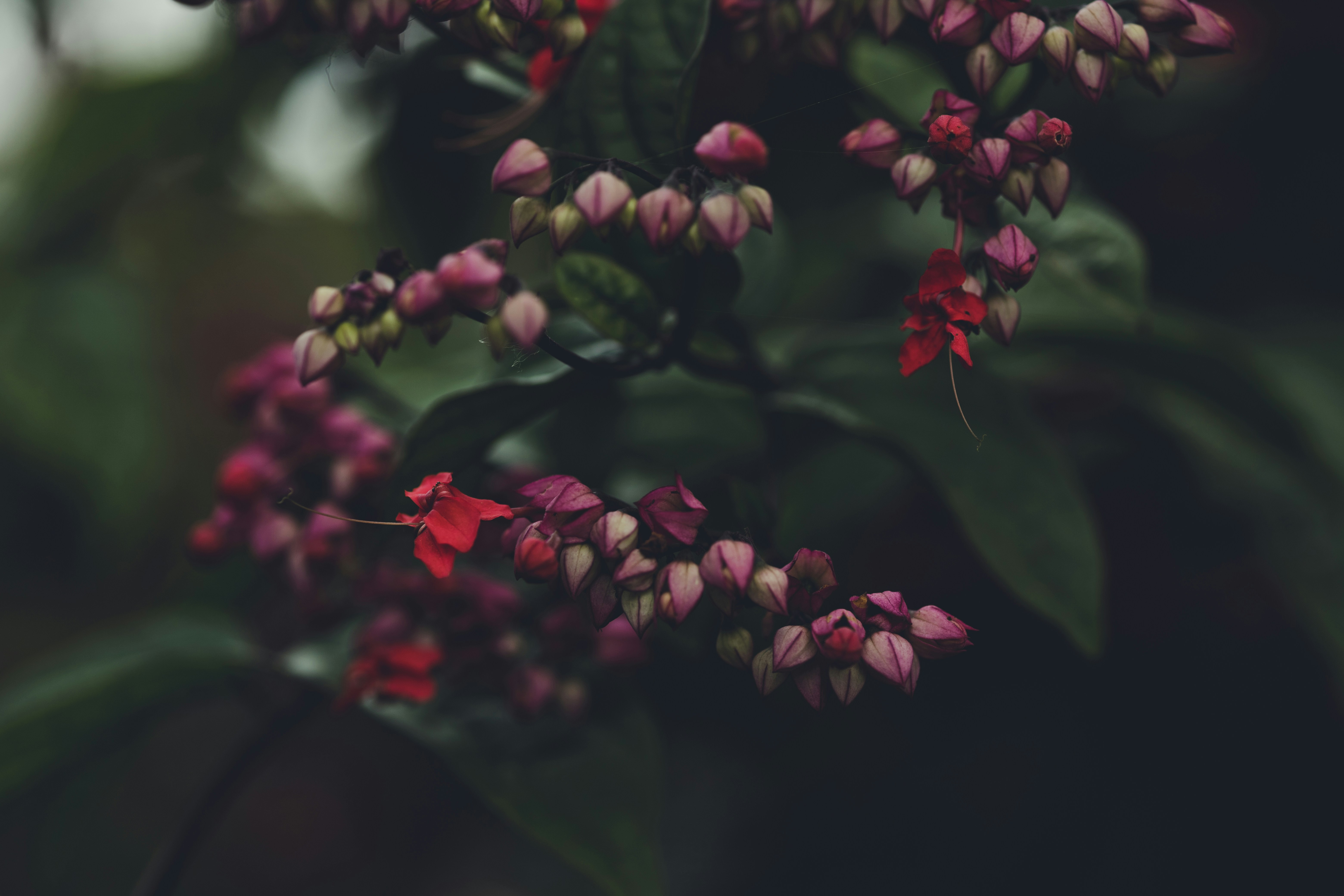 Photo by rrodriguesim