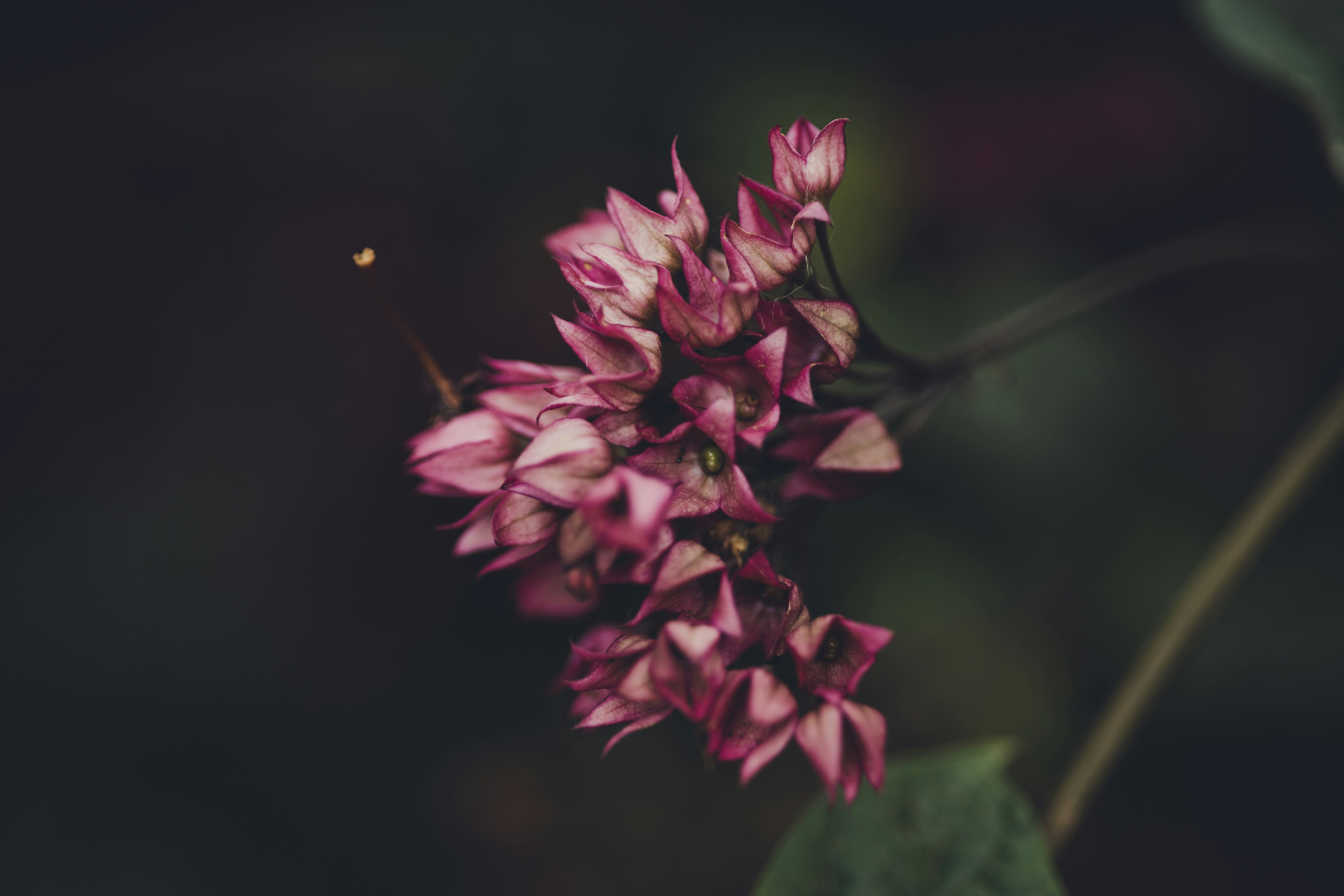 Photo by rrodriguesim