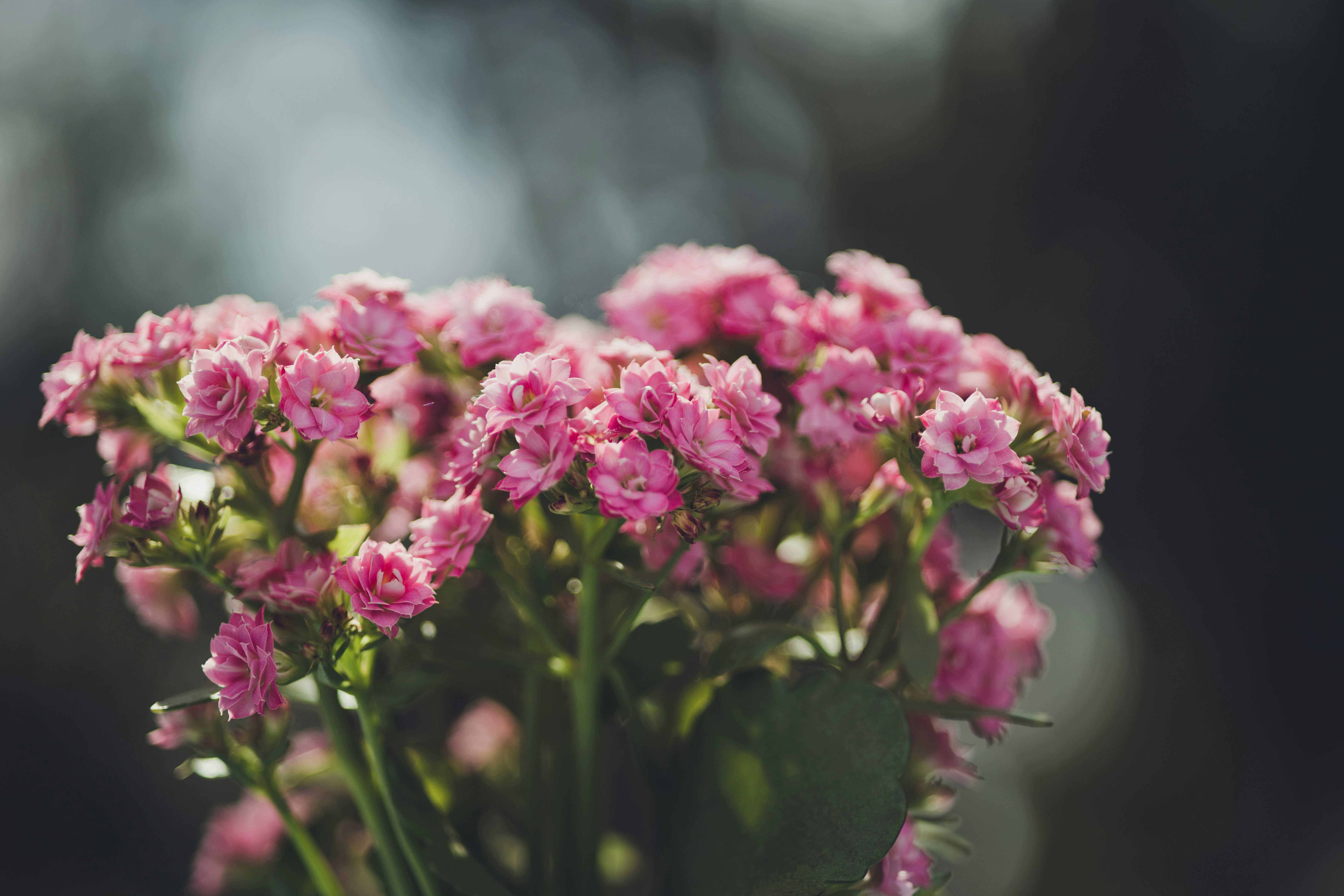 Photo by rrodriguesim