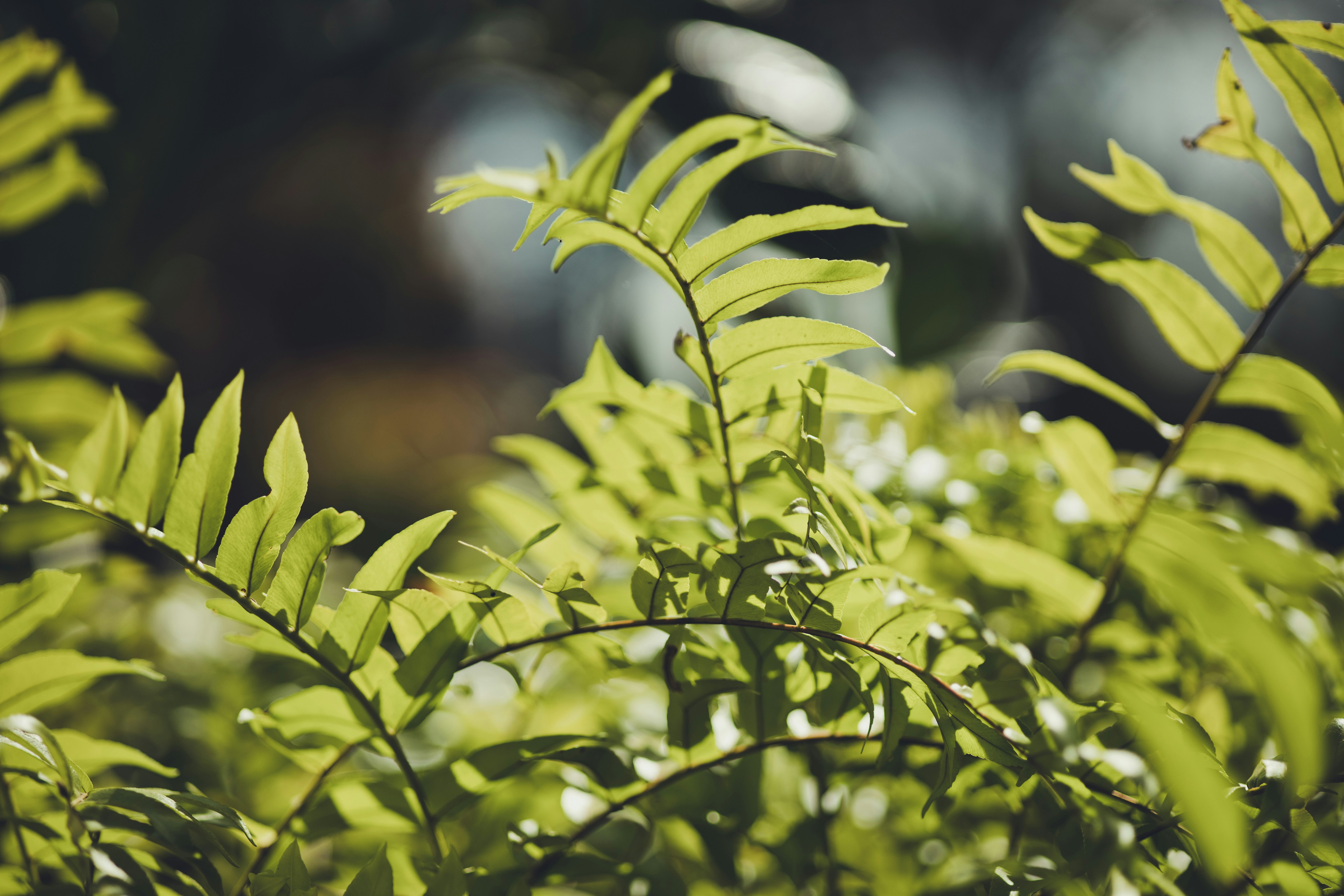 Photo by rrodriguesim