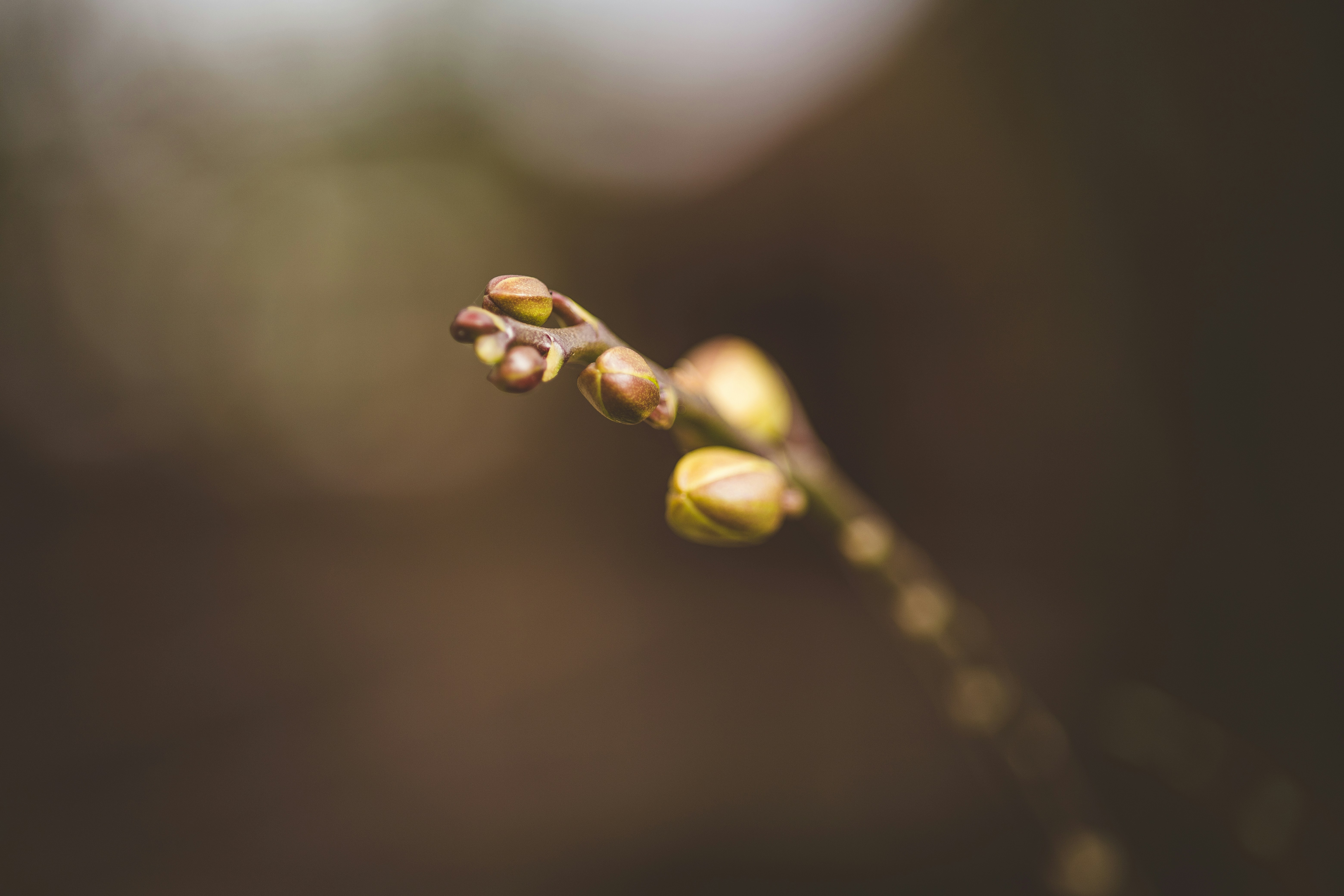 Photo by rrodriguesim