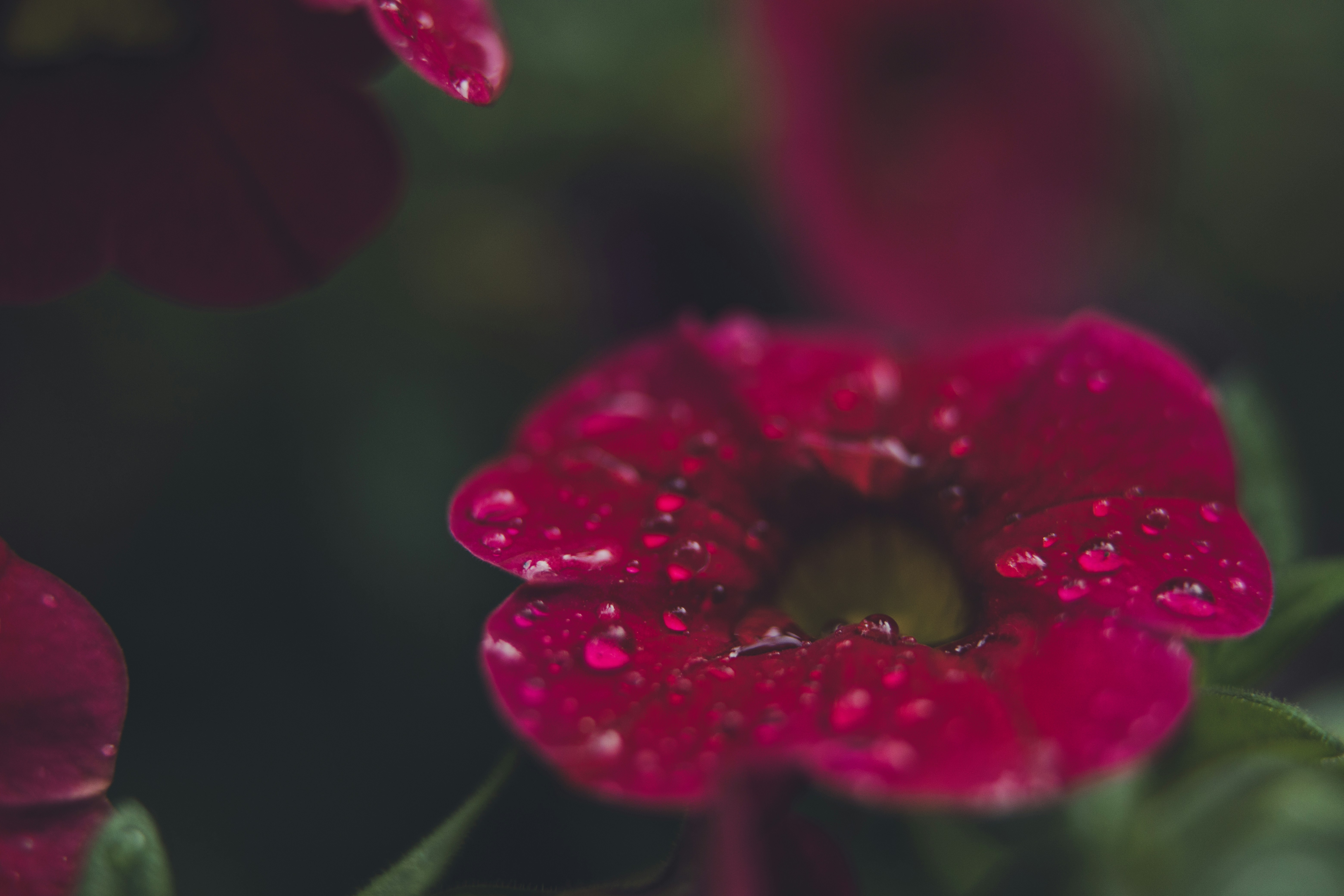 Photo by rrodriguesim