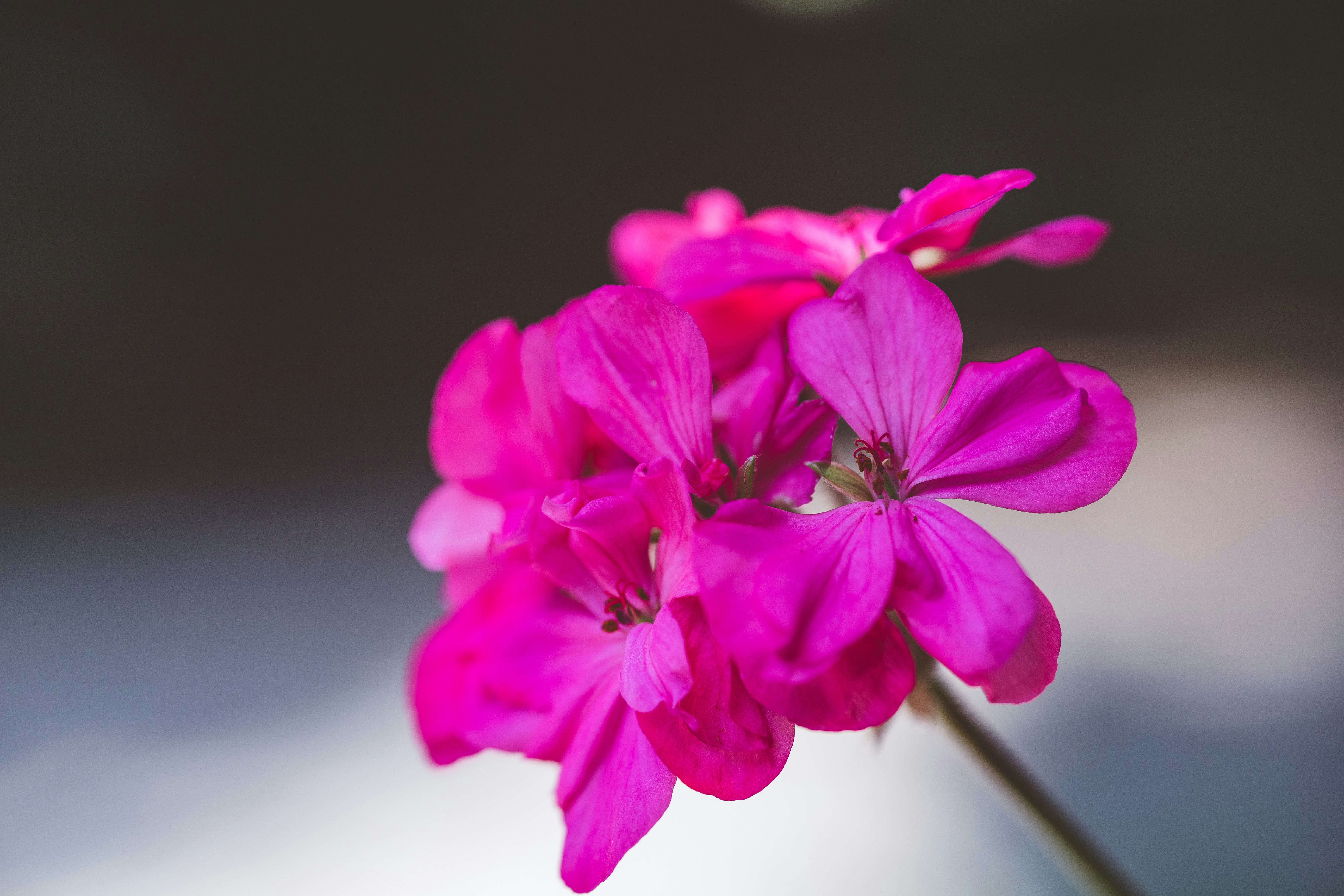 Photo by rrodriguesim