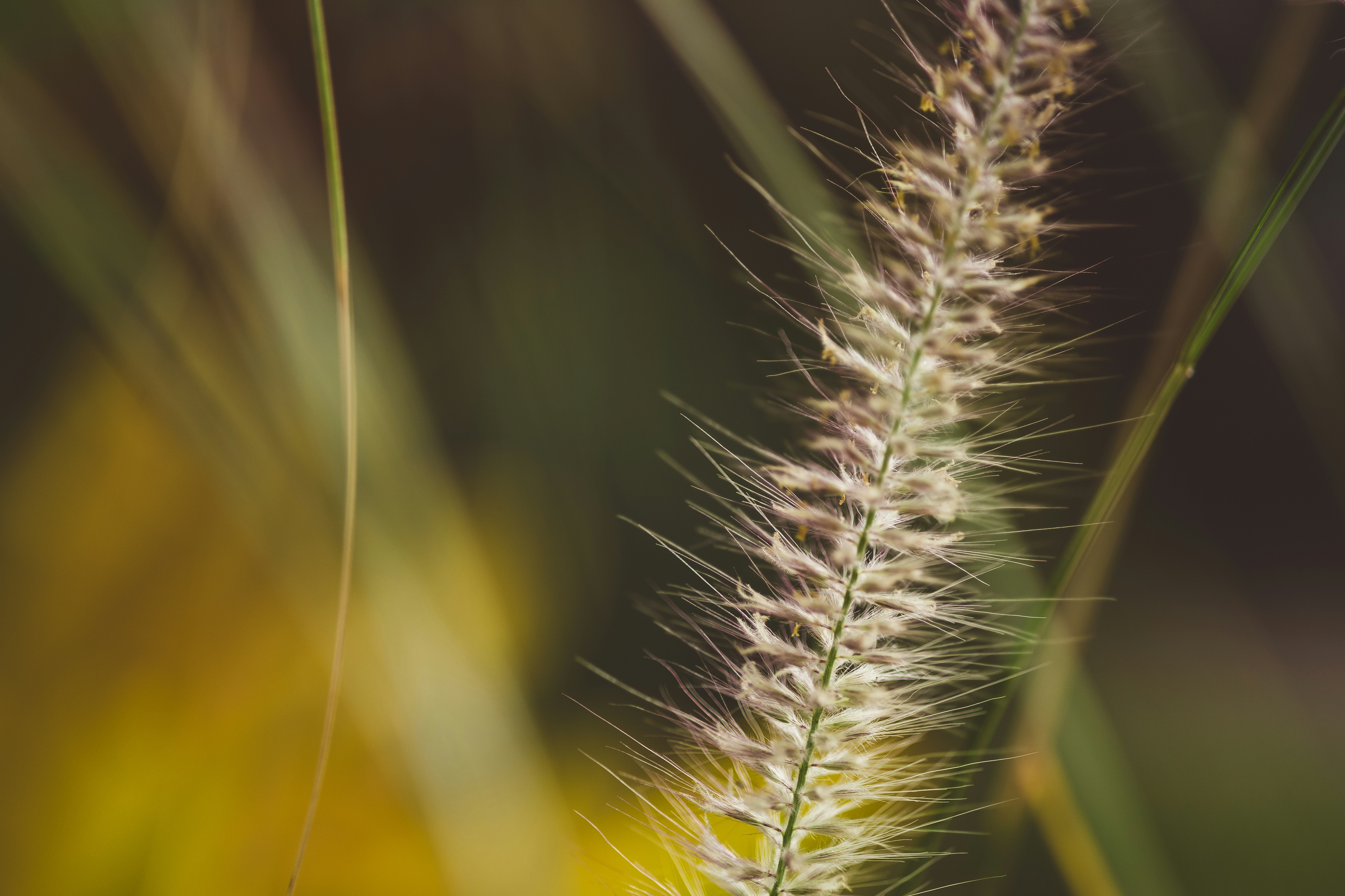 Photo by rrodriguesim