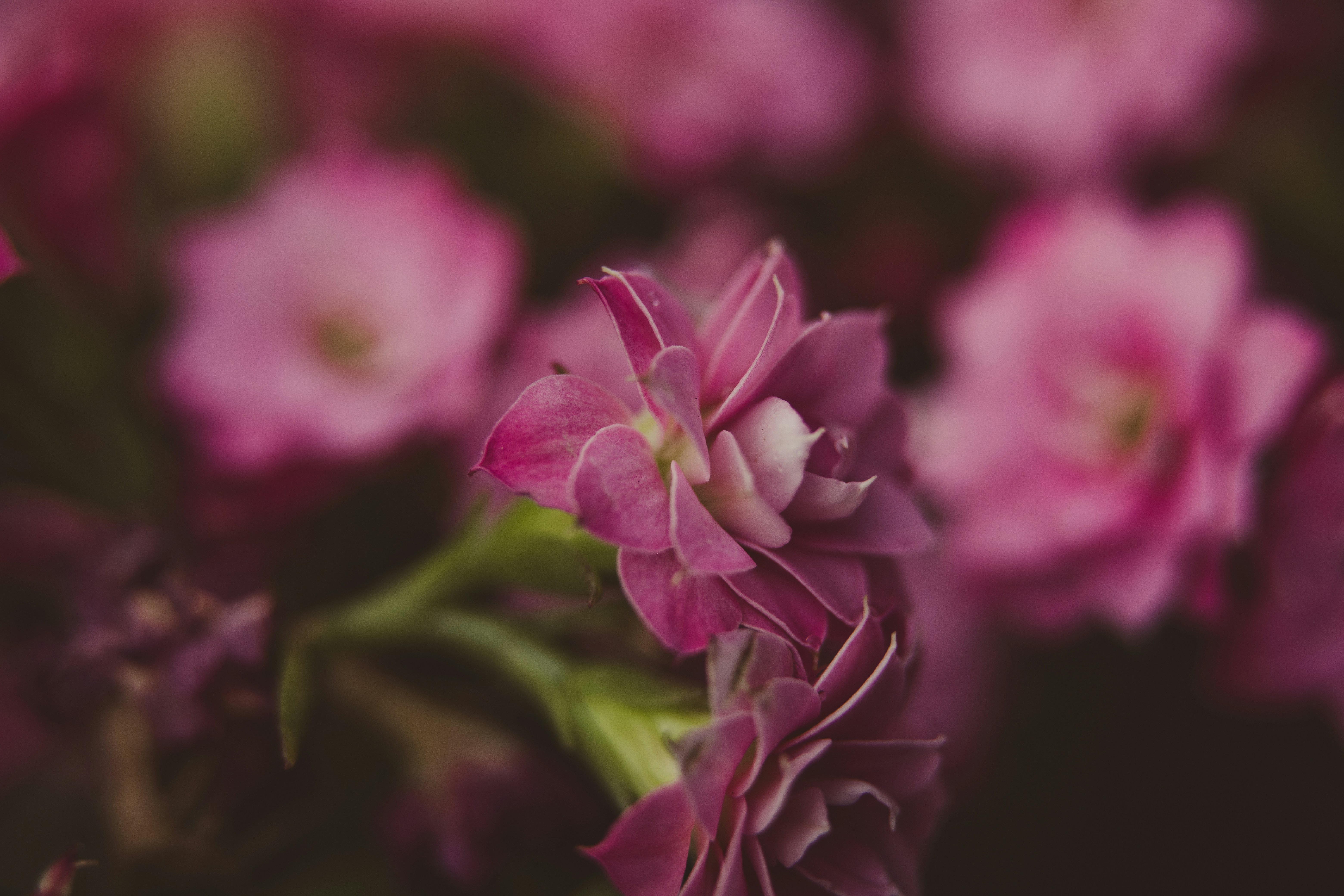 Photo by rrodriguesim