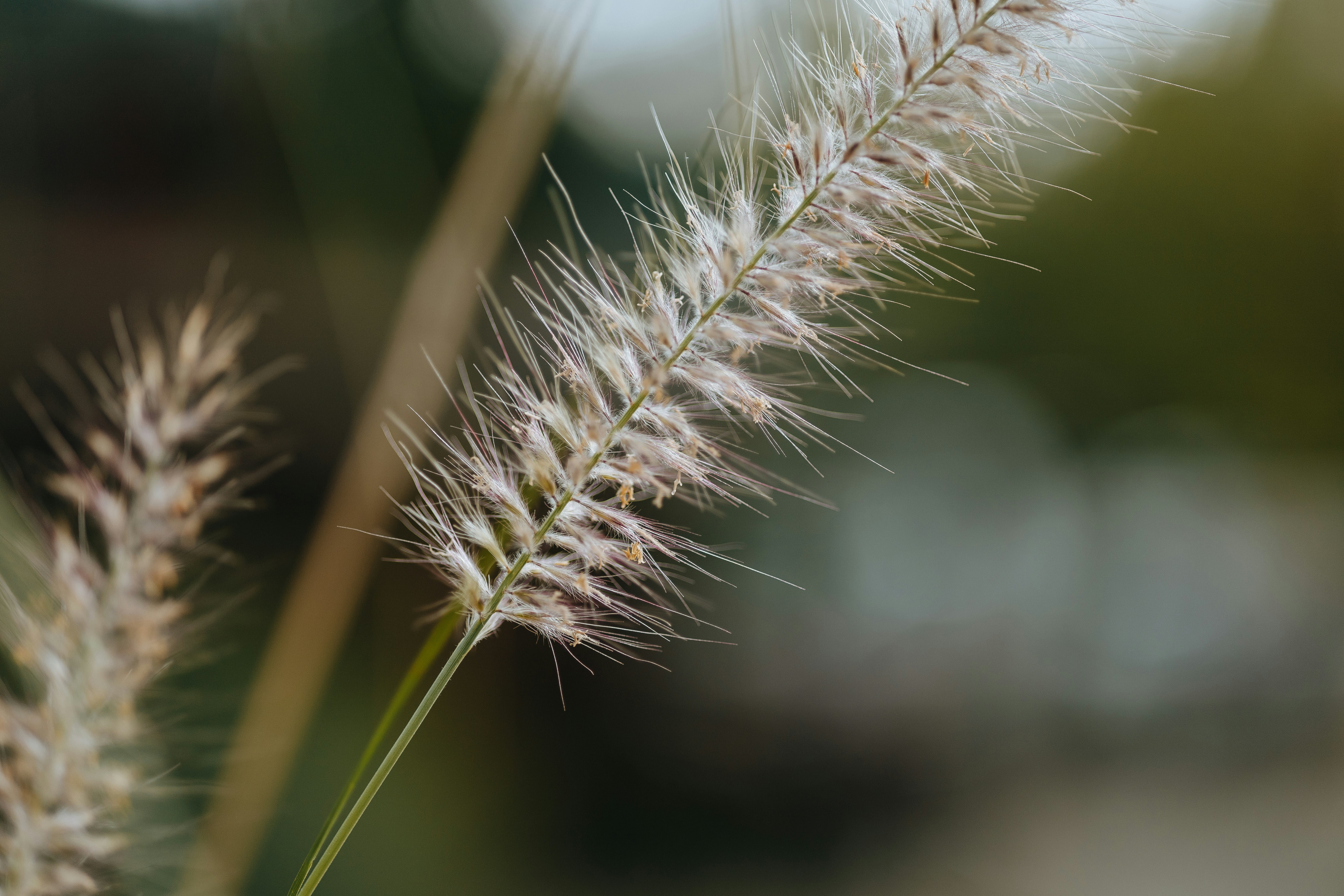 Photo by rrodriguesim