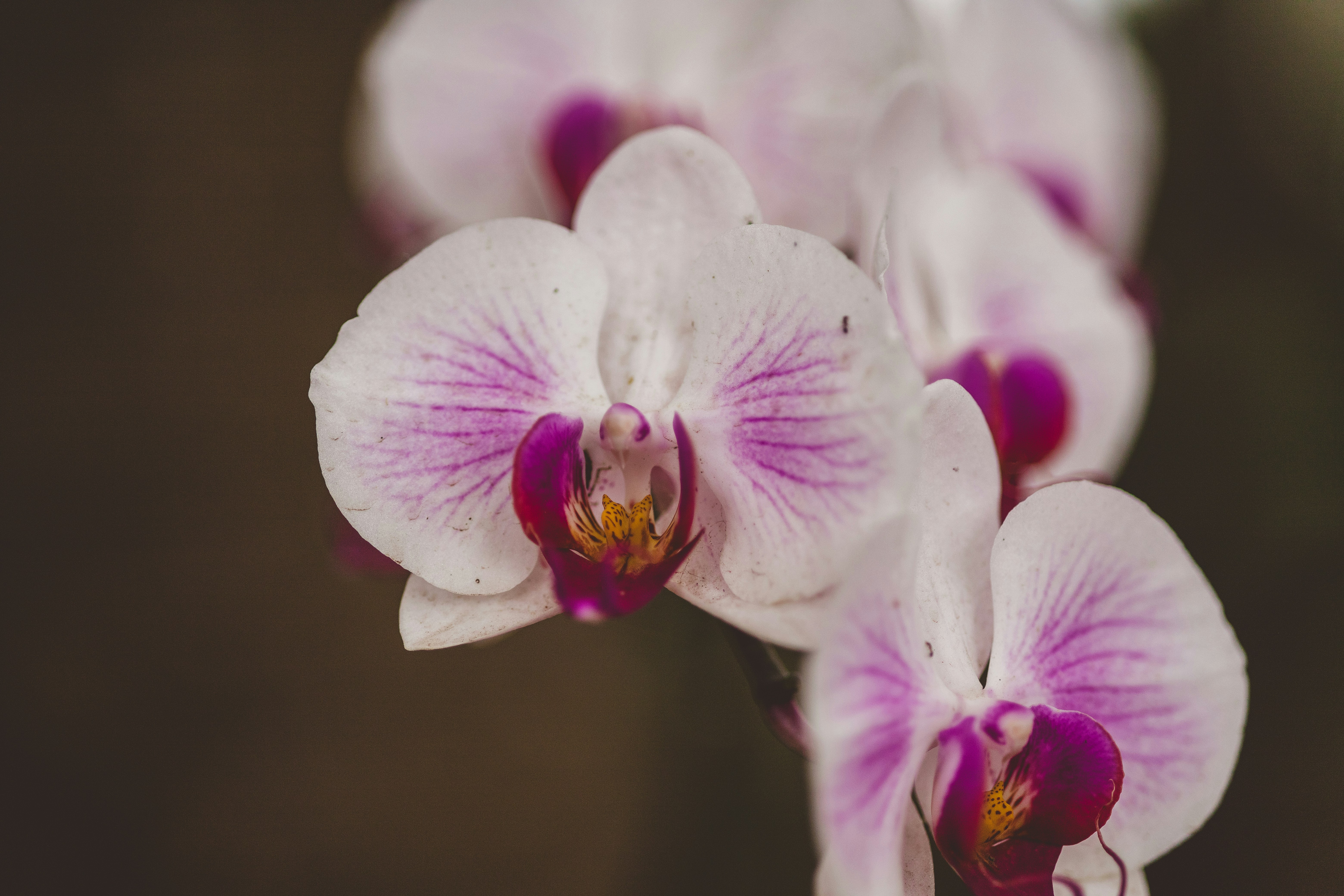 Photo by rrodriguesim