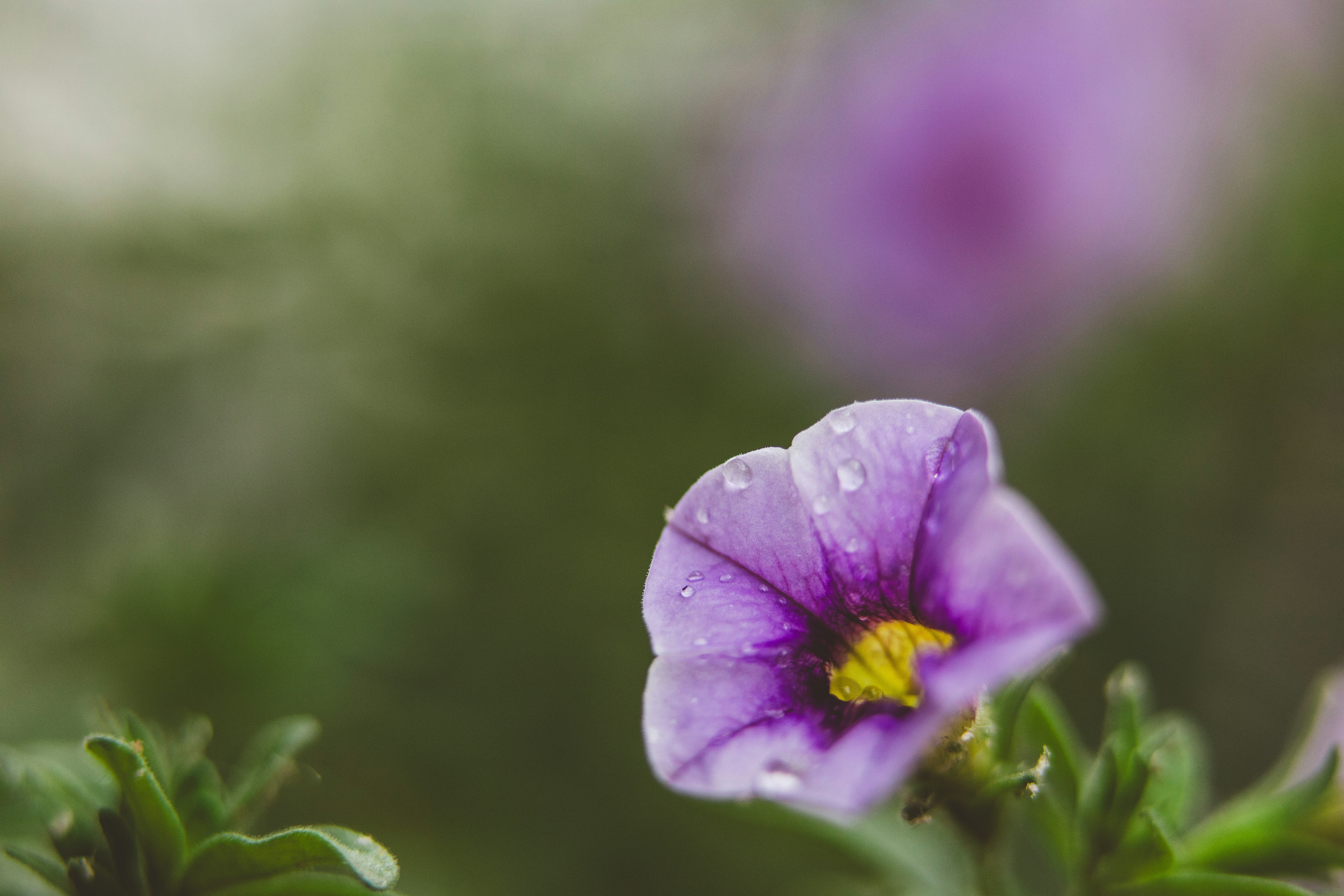 Photo by rrodriguesim