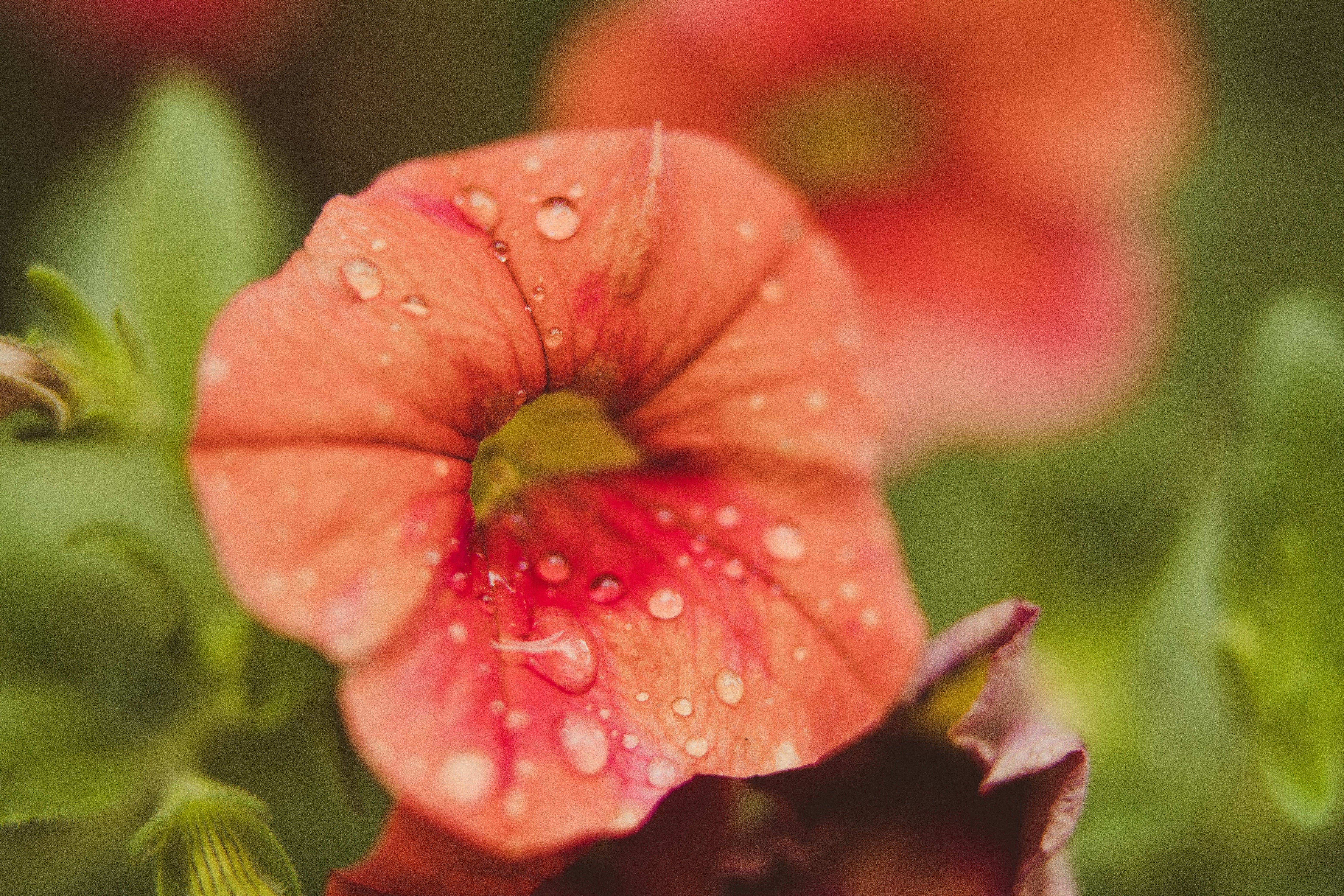 Photo by rrodriguesim