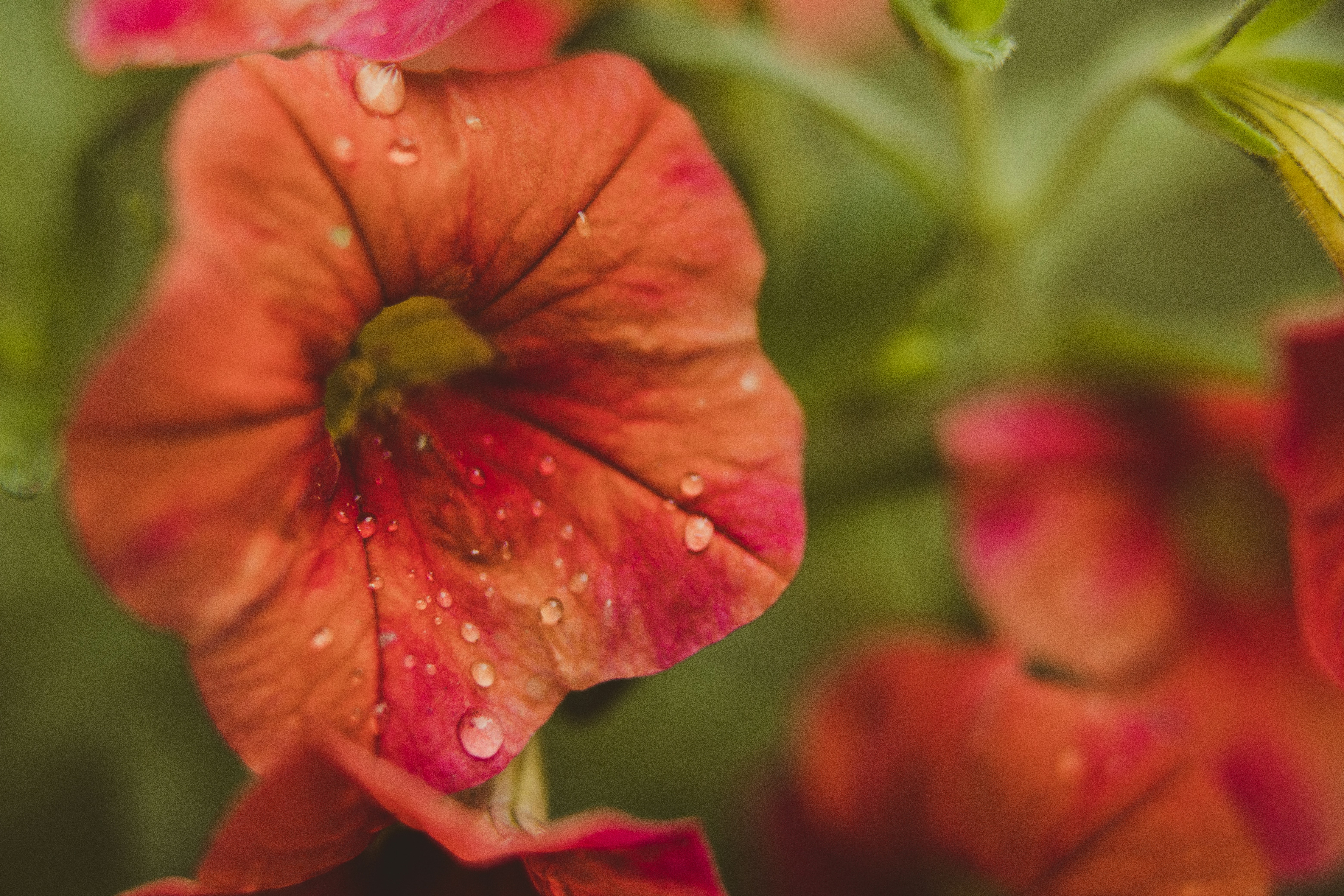 Photo by rrodriguesim