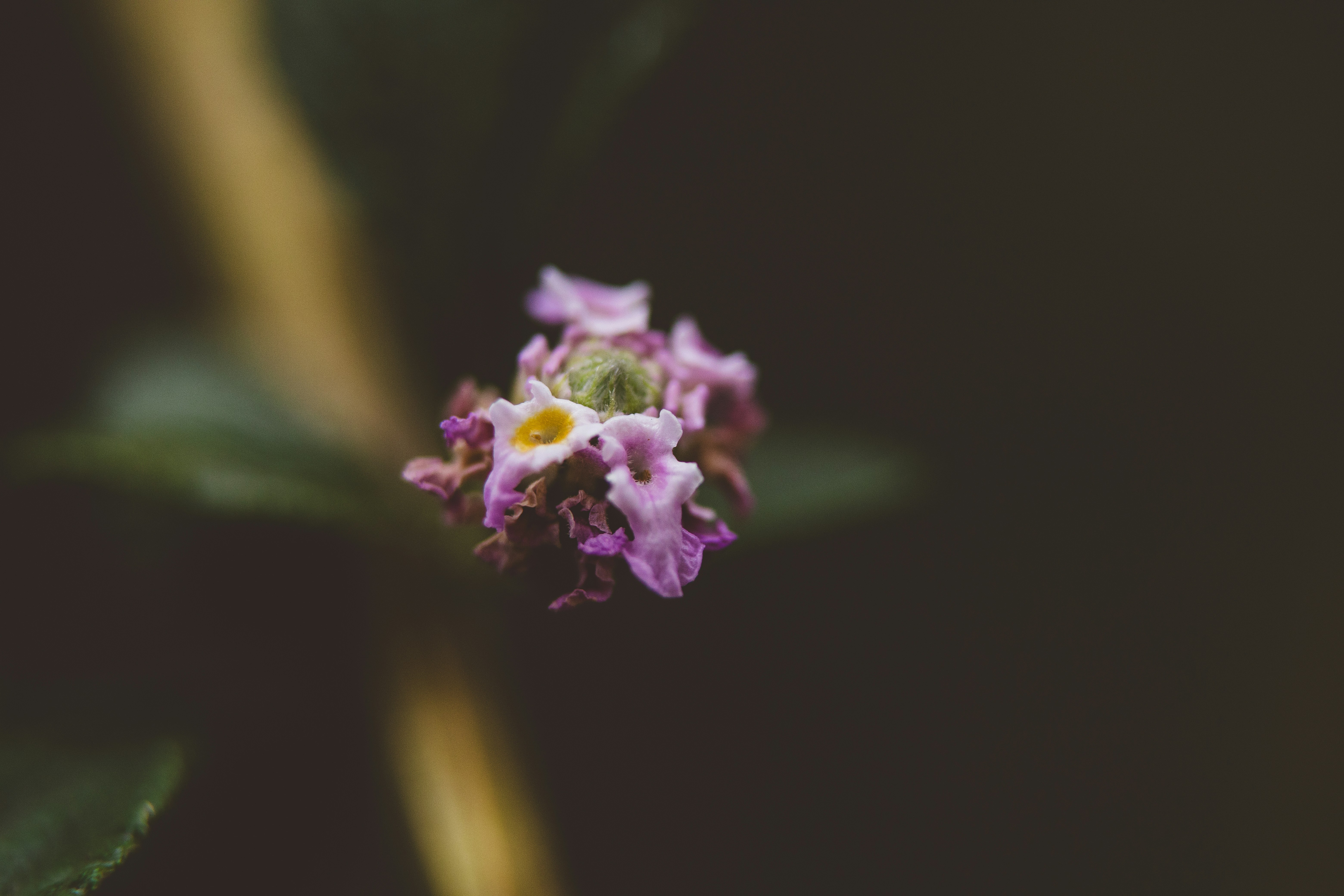Photo by rrodriguesim