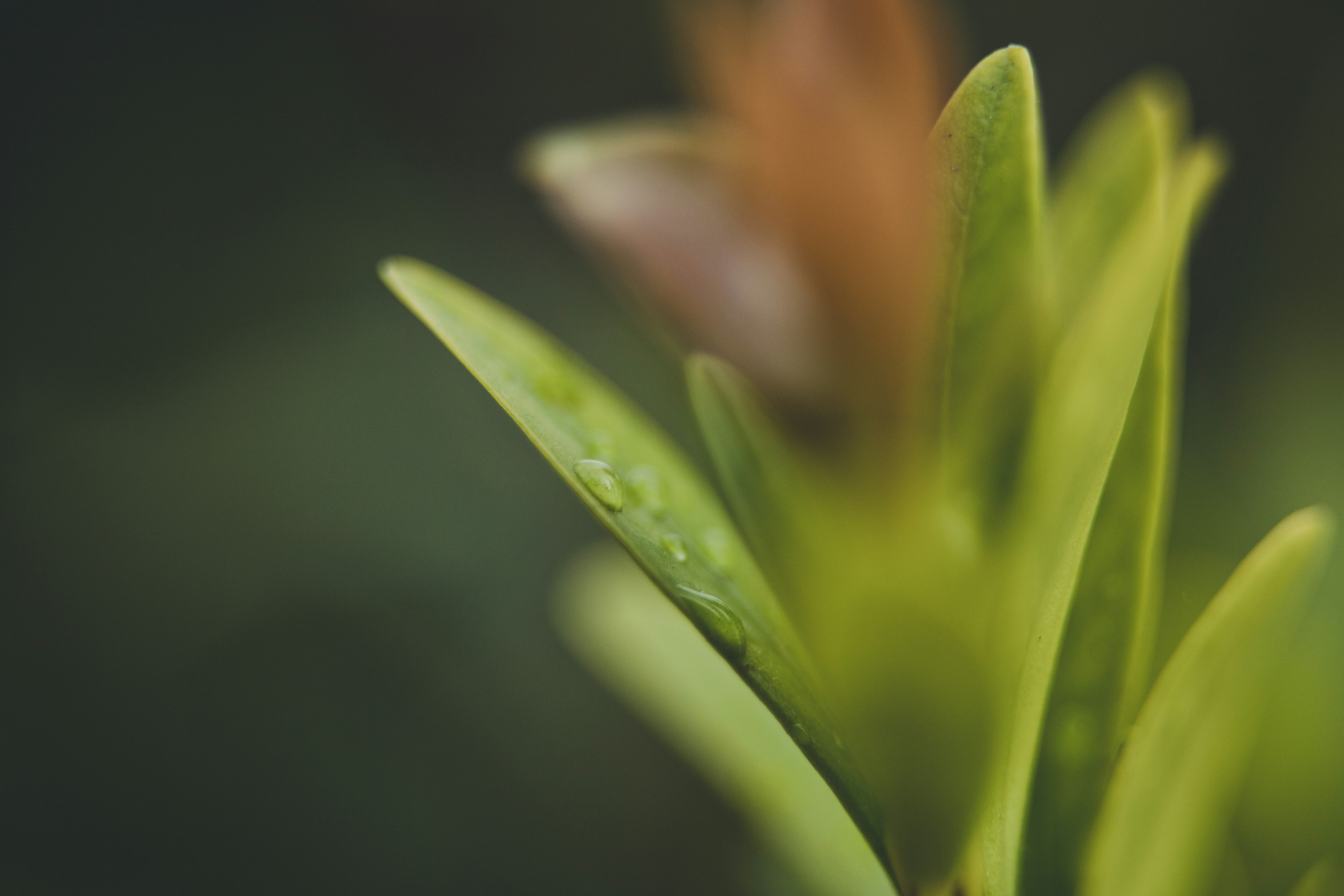 Photo by rrodriguesim