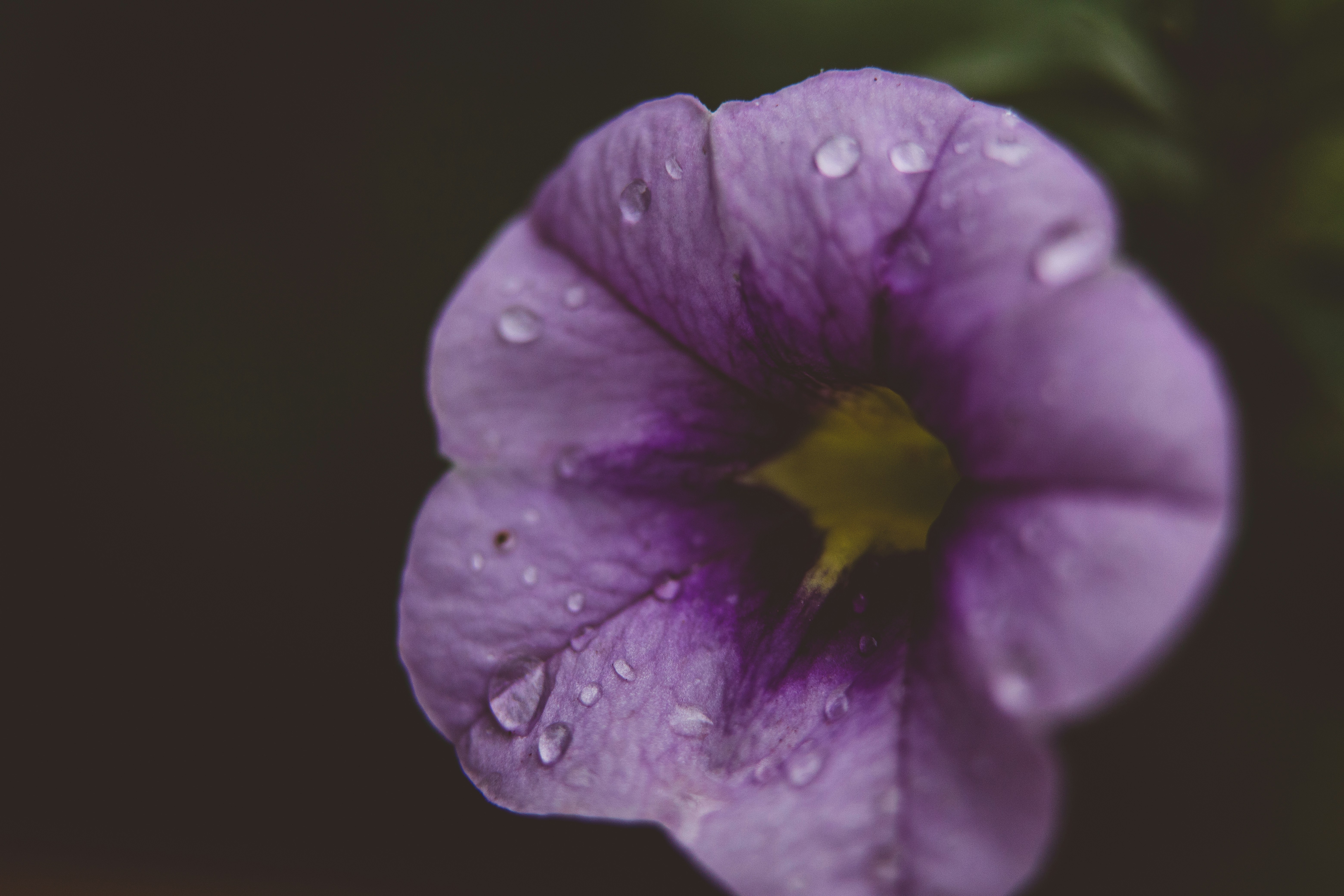 Photo by rrodriguesim