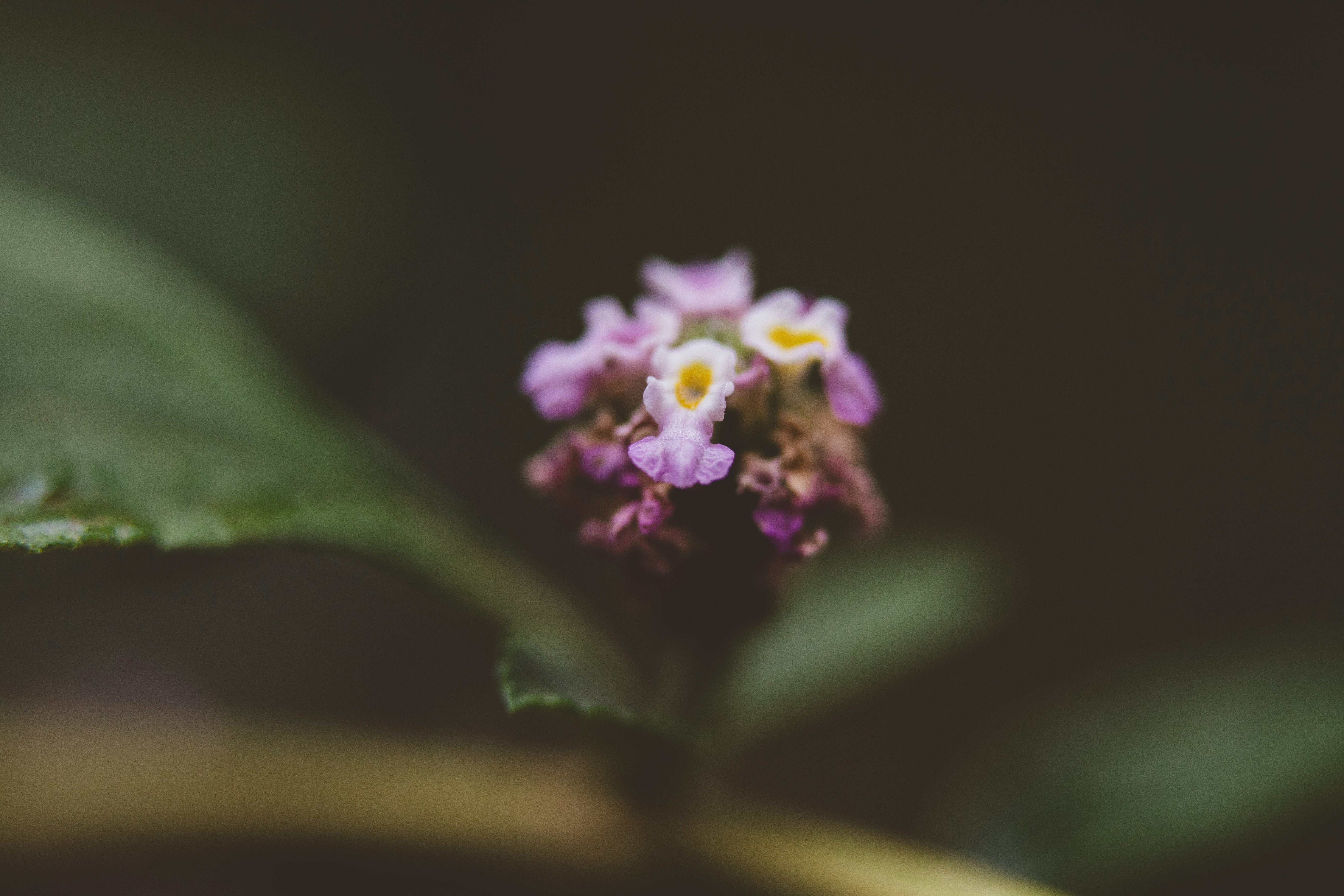 Photo by rrodriguesim