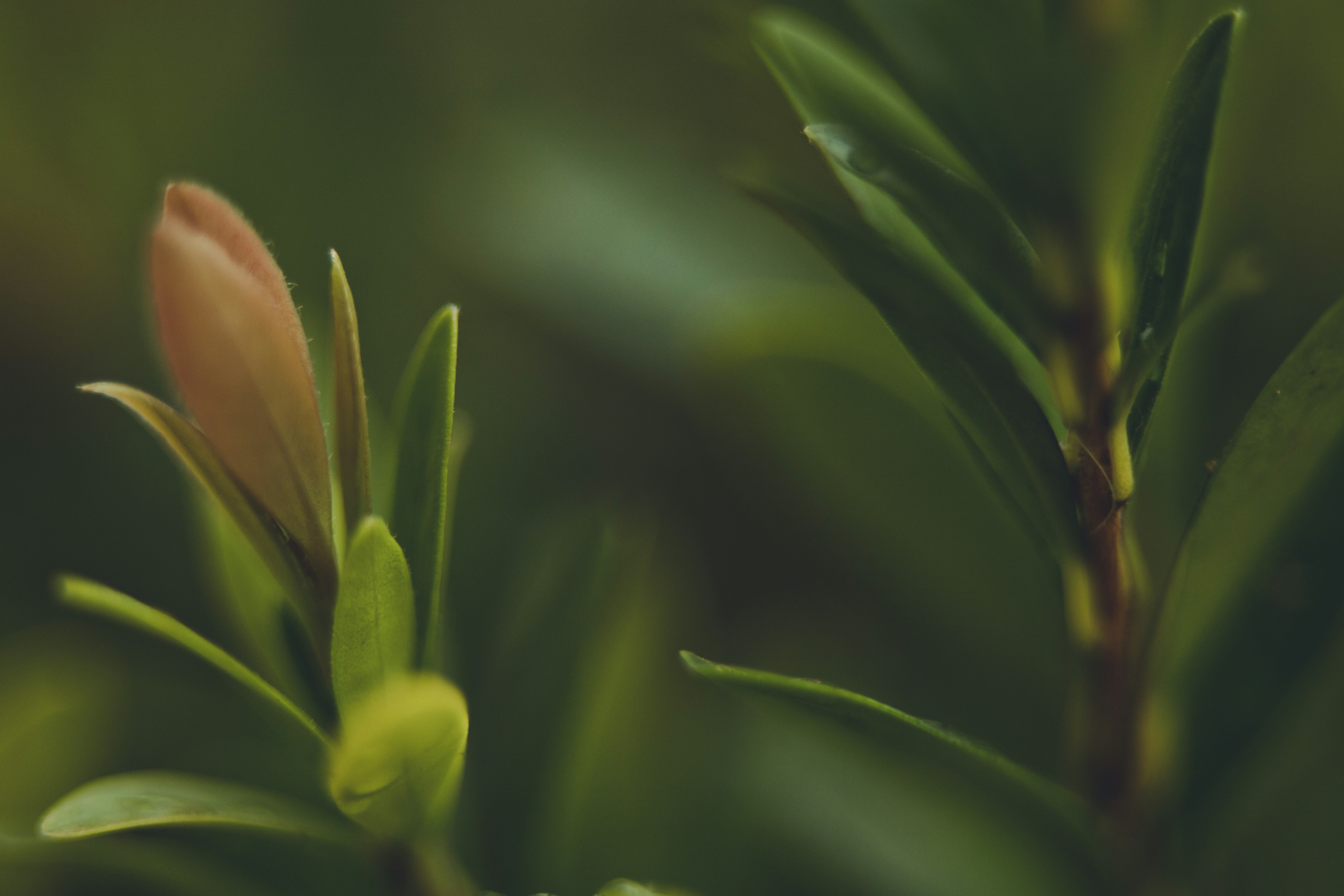 Photo by rrodriguesim