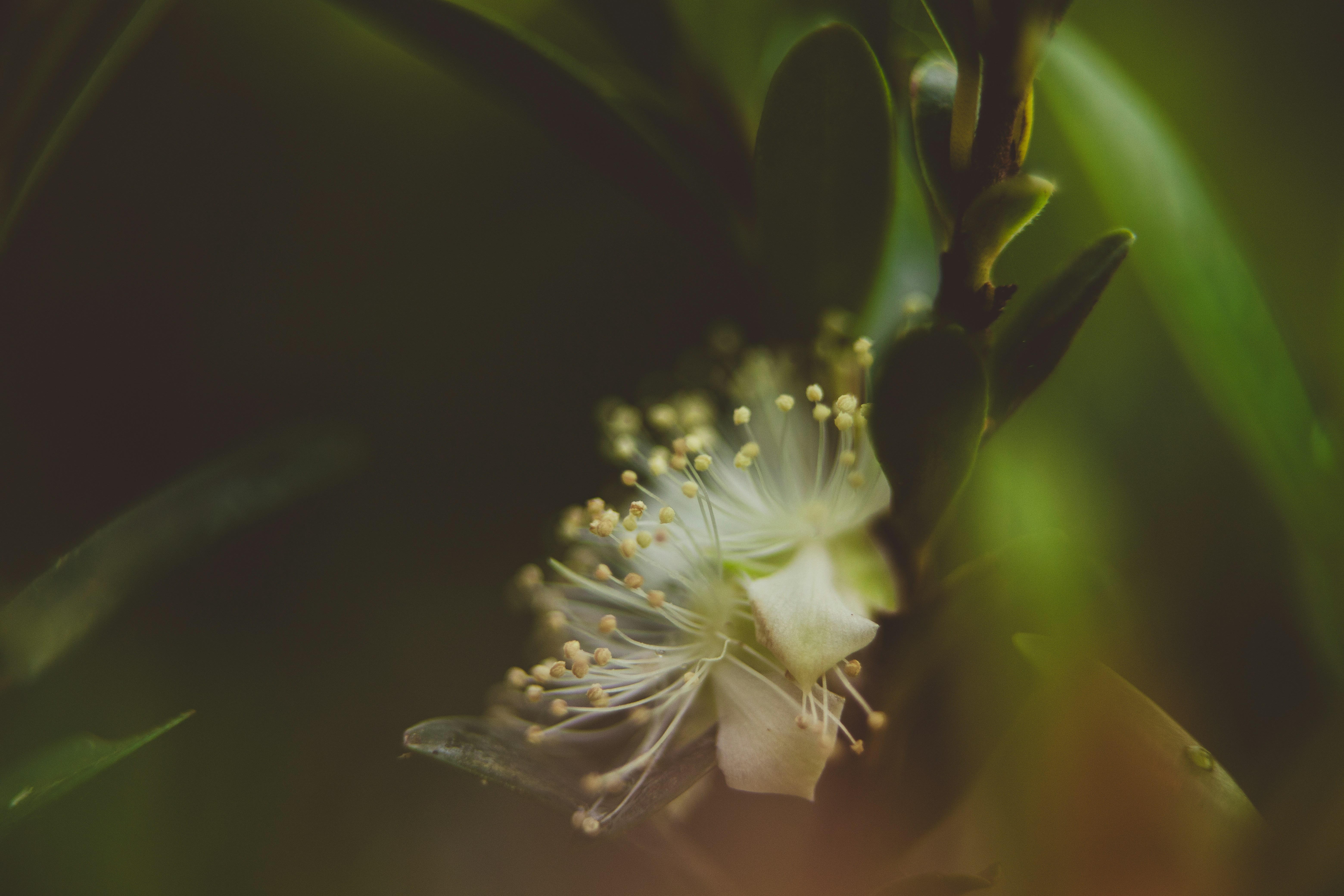 Photo by rrodriguesim