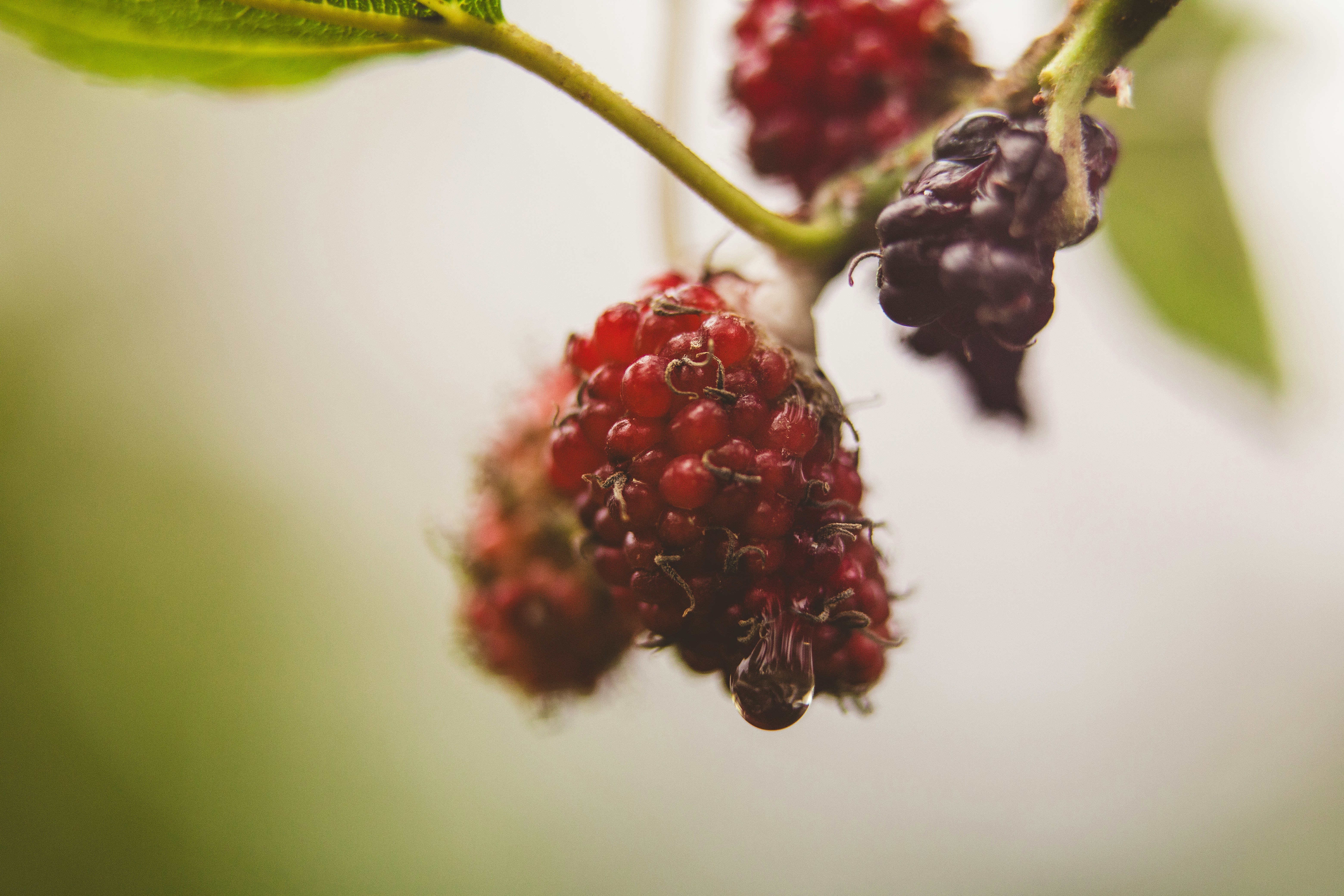 Photo by rrodriguesim