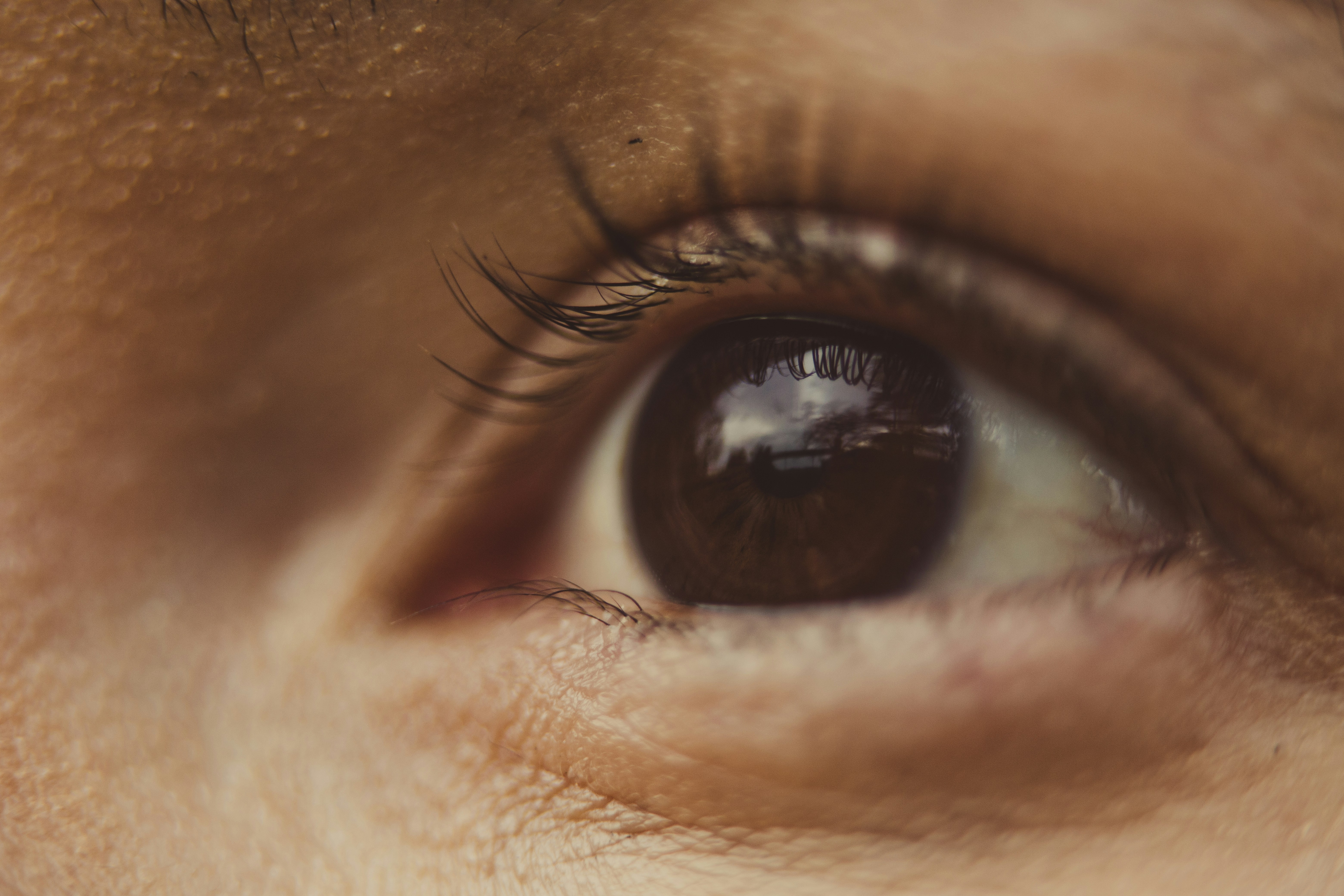 Photo by rrodriguesim